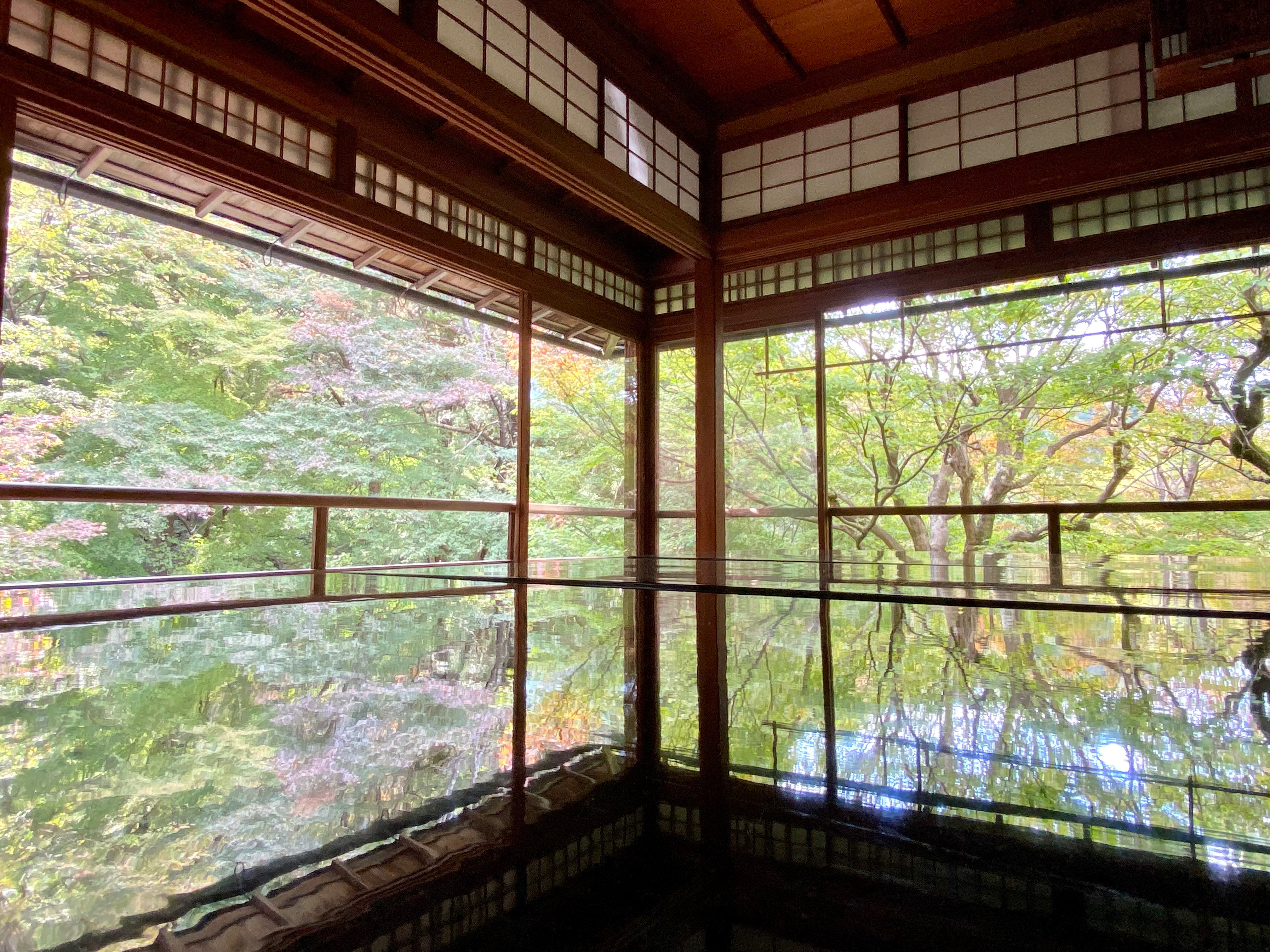 無量寿山光明寺 京都本院 瑠璃光院　逆さ紅葉　青もみじ