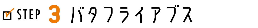 STEP3 バタフライアブス