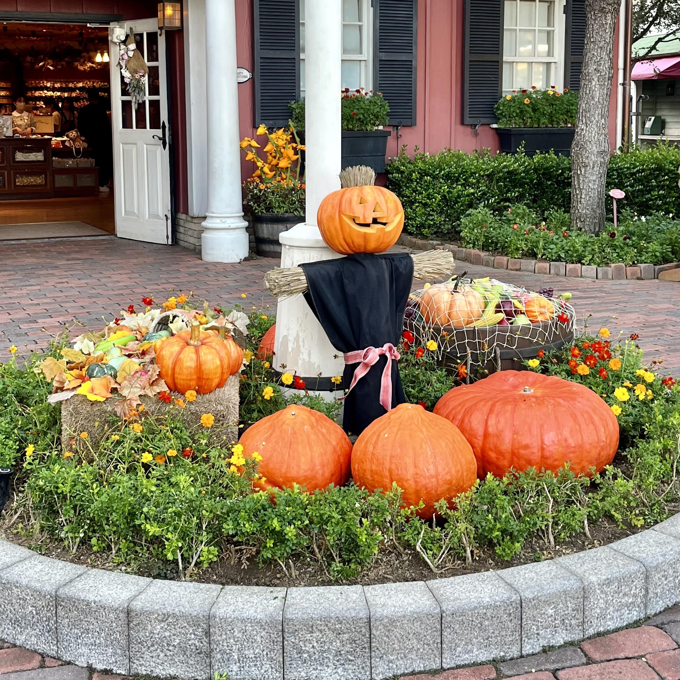 ディズニーシーケープコッド花壇