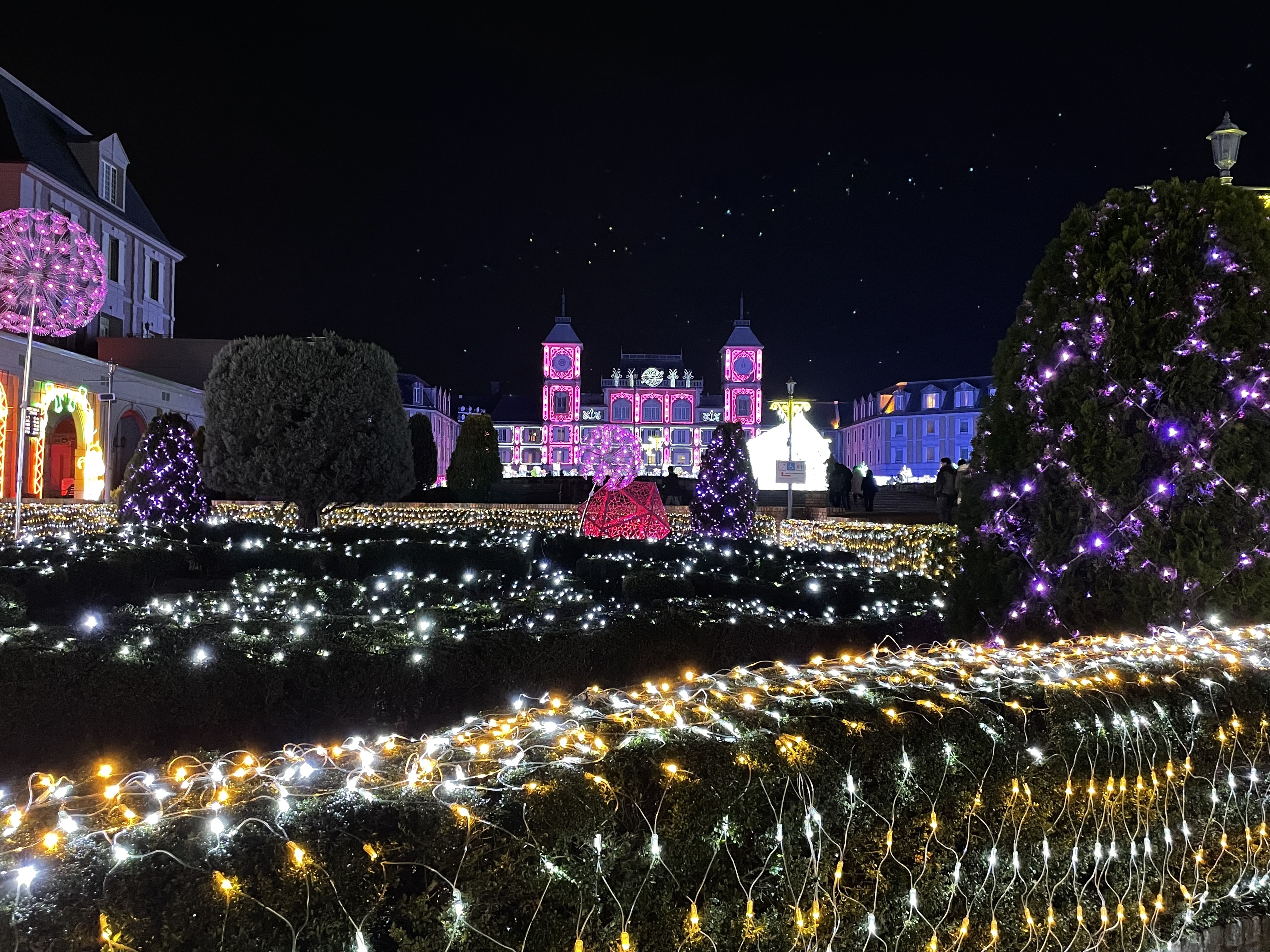 2022 神戸イルミナージュ　全景