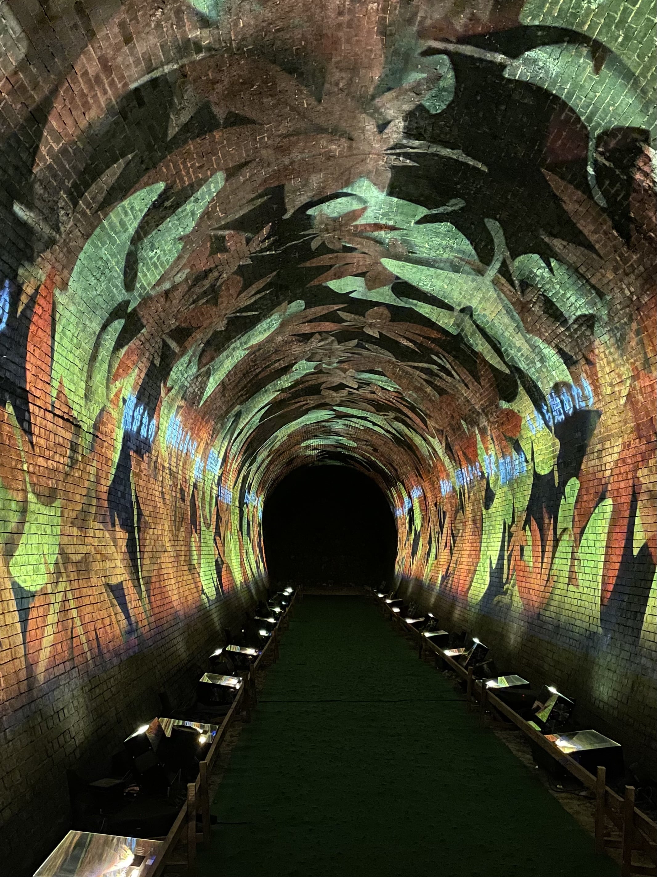 プロジェクションマッピング 紅葉や銀杏の映像