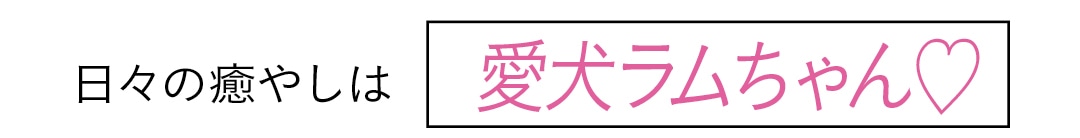 日々の癒やしは　愛犬ラムちゃん♡