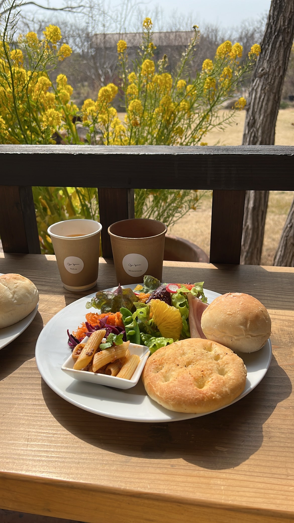 大神ファームでのランチ