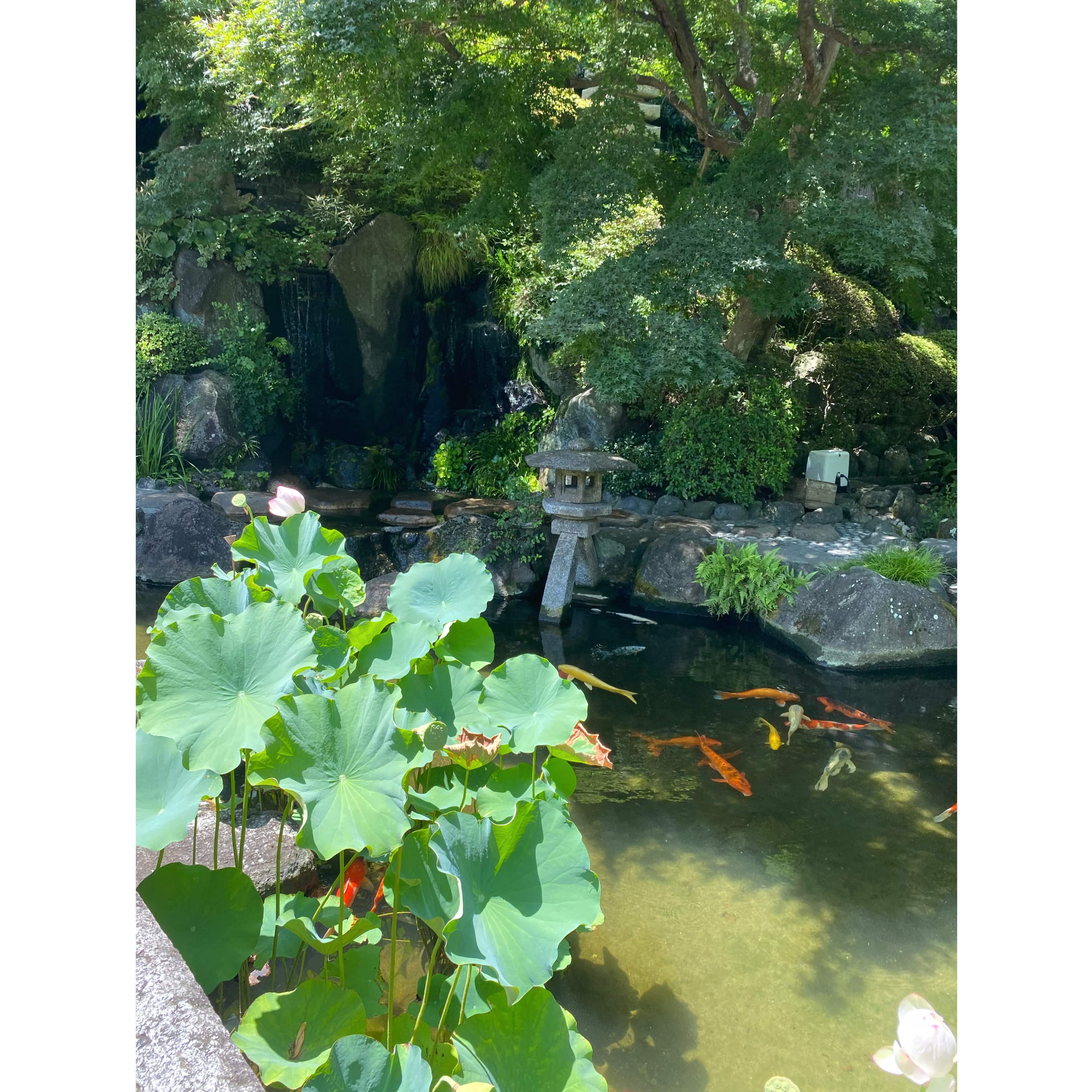 長谷寺　池　湘南