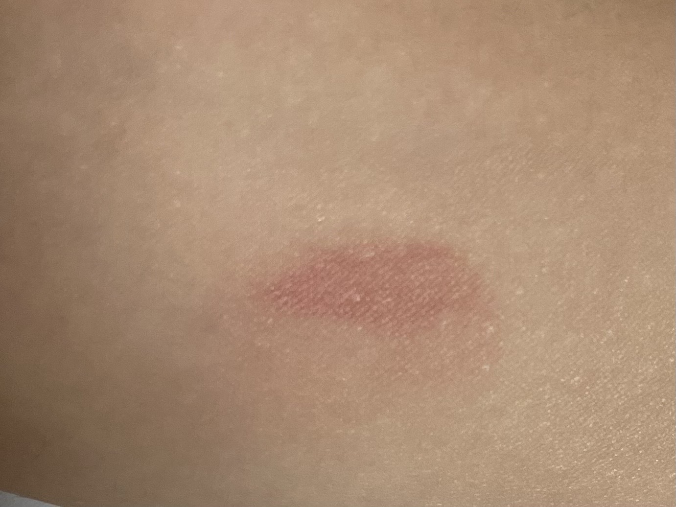 シカペアリカバー　カバー力検証　リップ