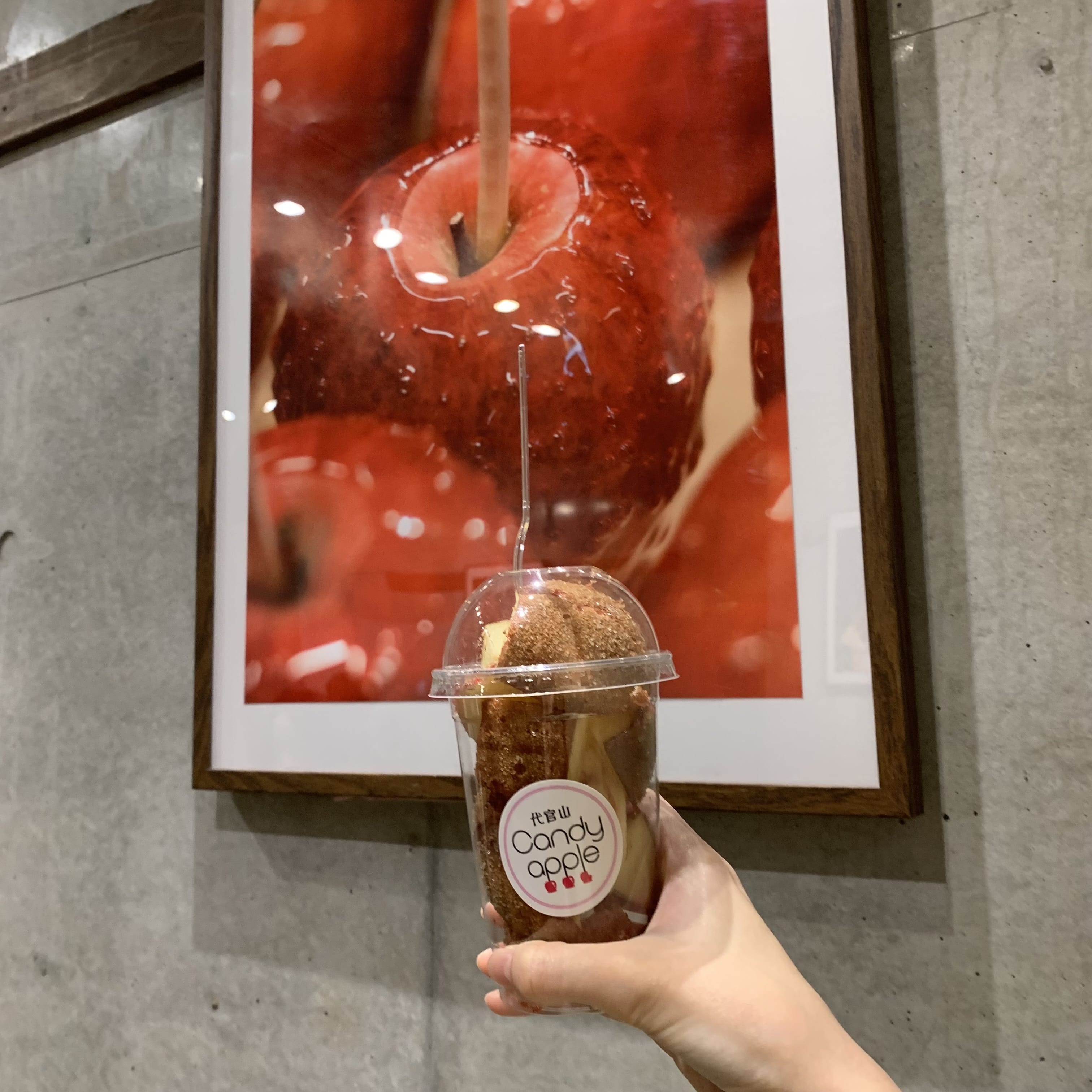 カップ