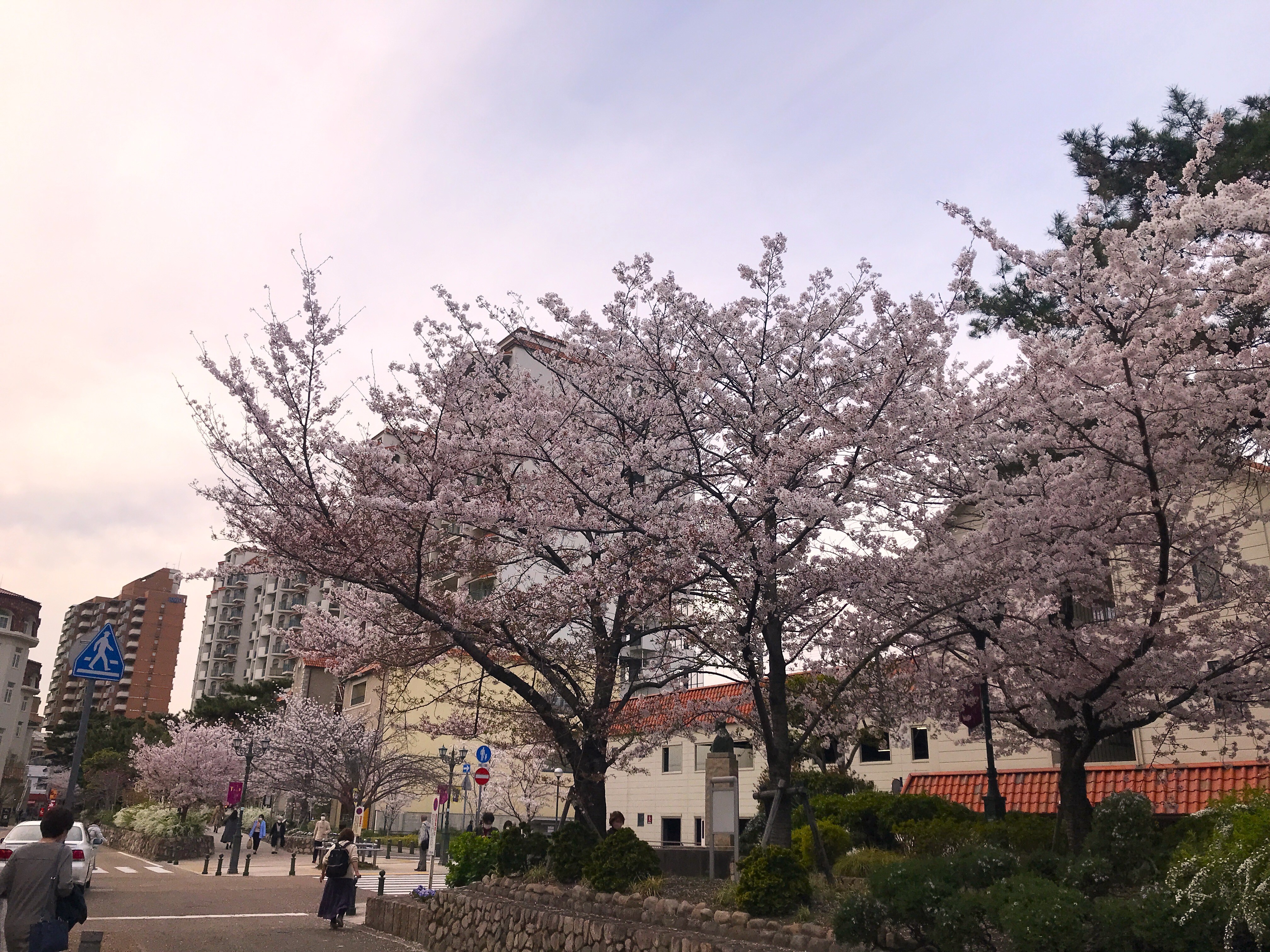 花のみち、宝塚市