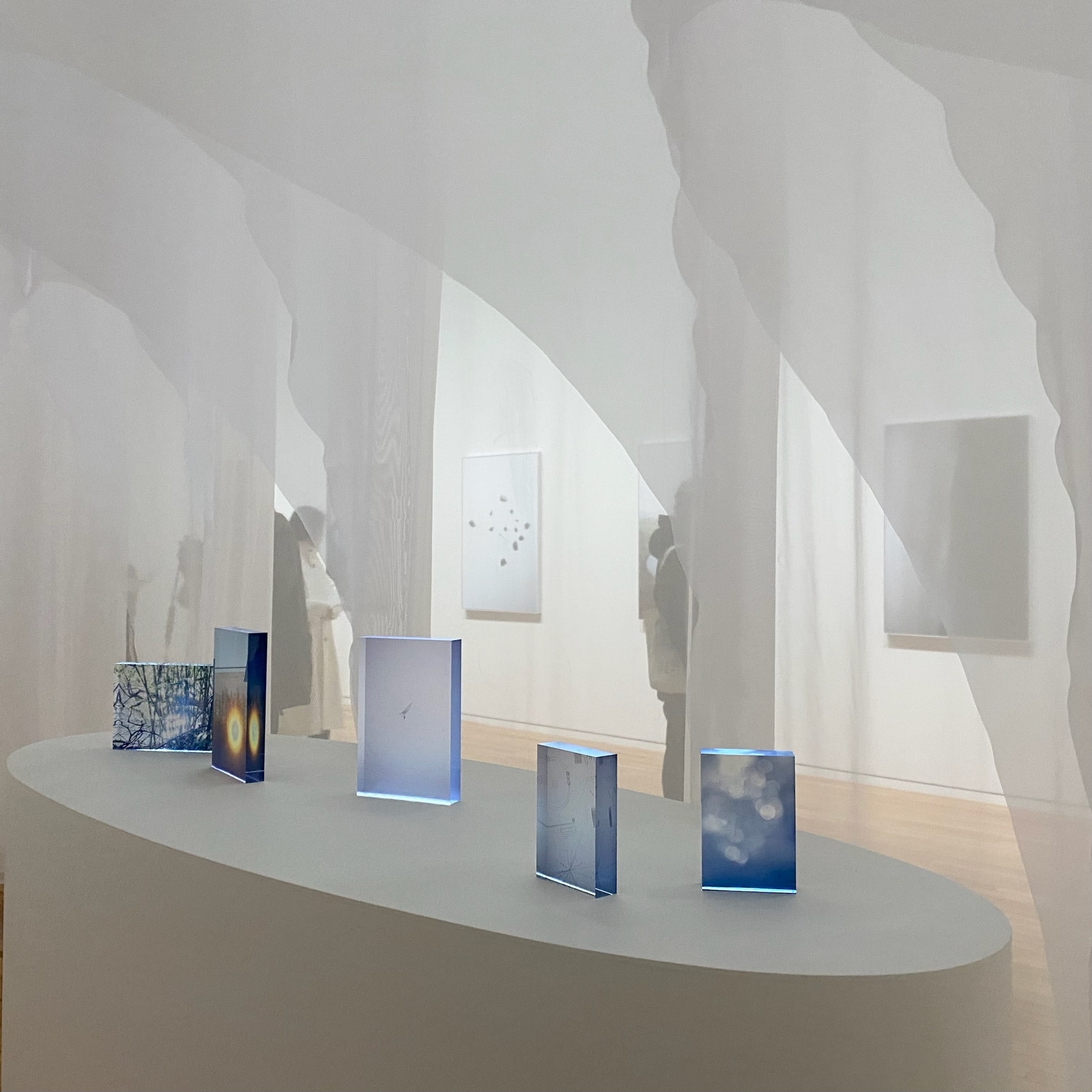 写真家・川内倫子さんの写真展「M/E 球体の上  無限の連なり」の様子。白い布がトンネルのようになっていて、その中に写真が展示されています。写真をガラスに焼き付けたものが５枚並んでいます。