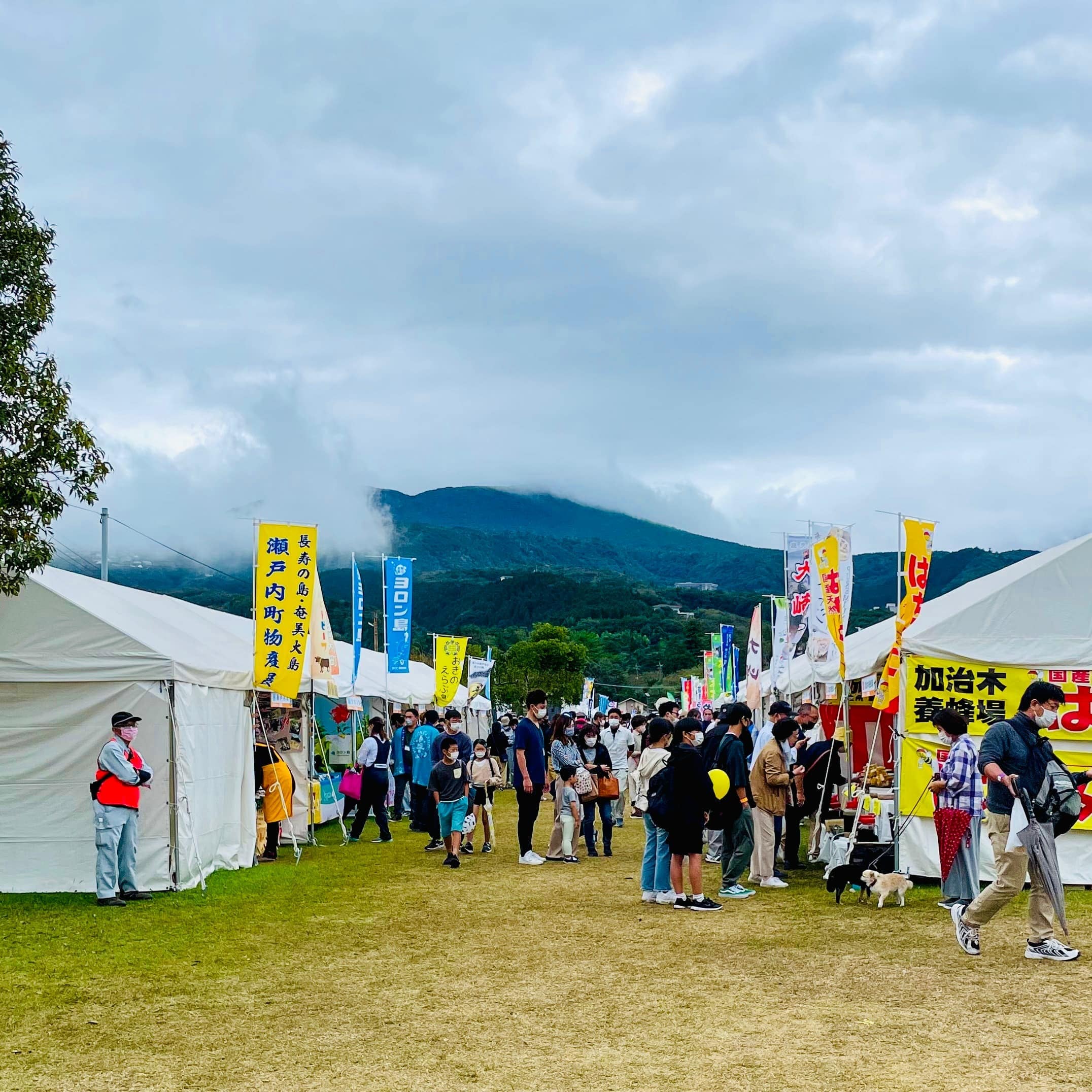 和牛フェス　鹿児島　鹿児島県PRエリア