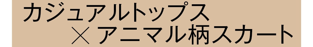 カジュアルトップス×アニマルスカート