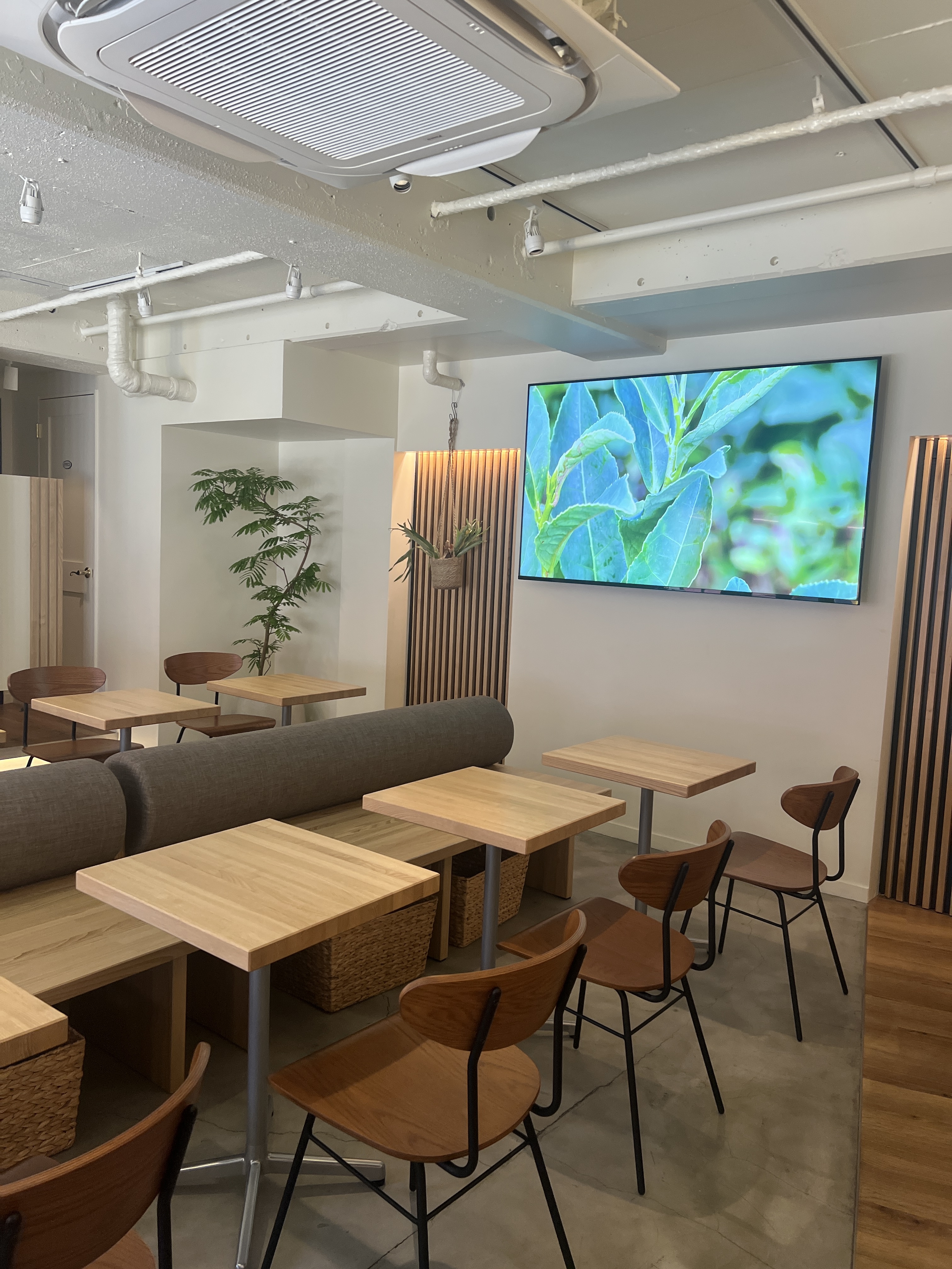 IPPUKU＆MATCHA代々木上原店、店内１