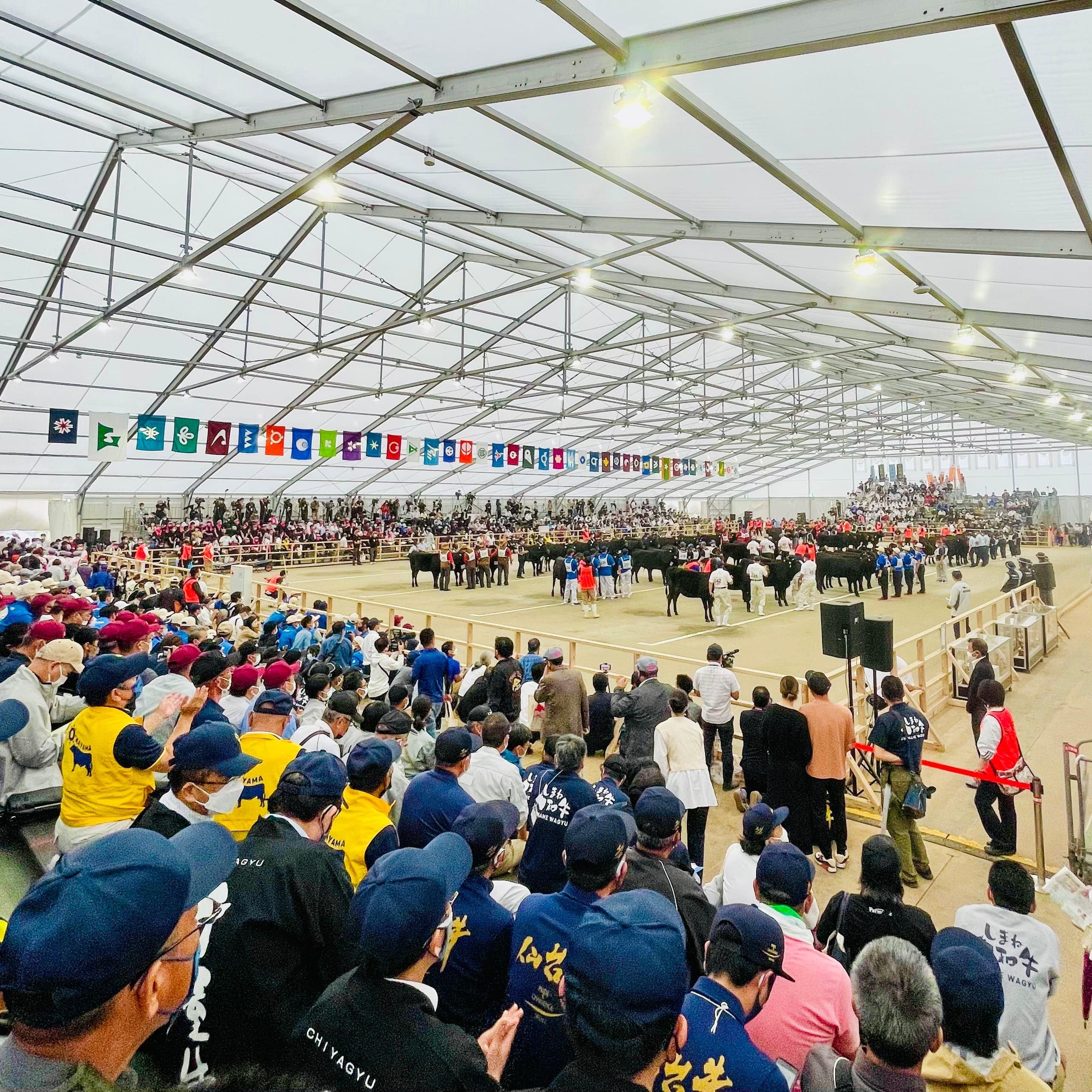 和牛フェス　鹿児島　共進会エリア