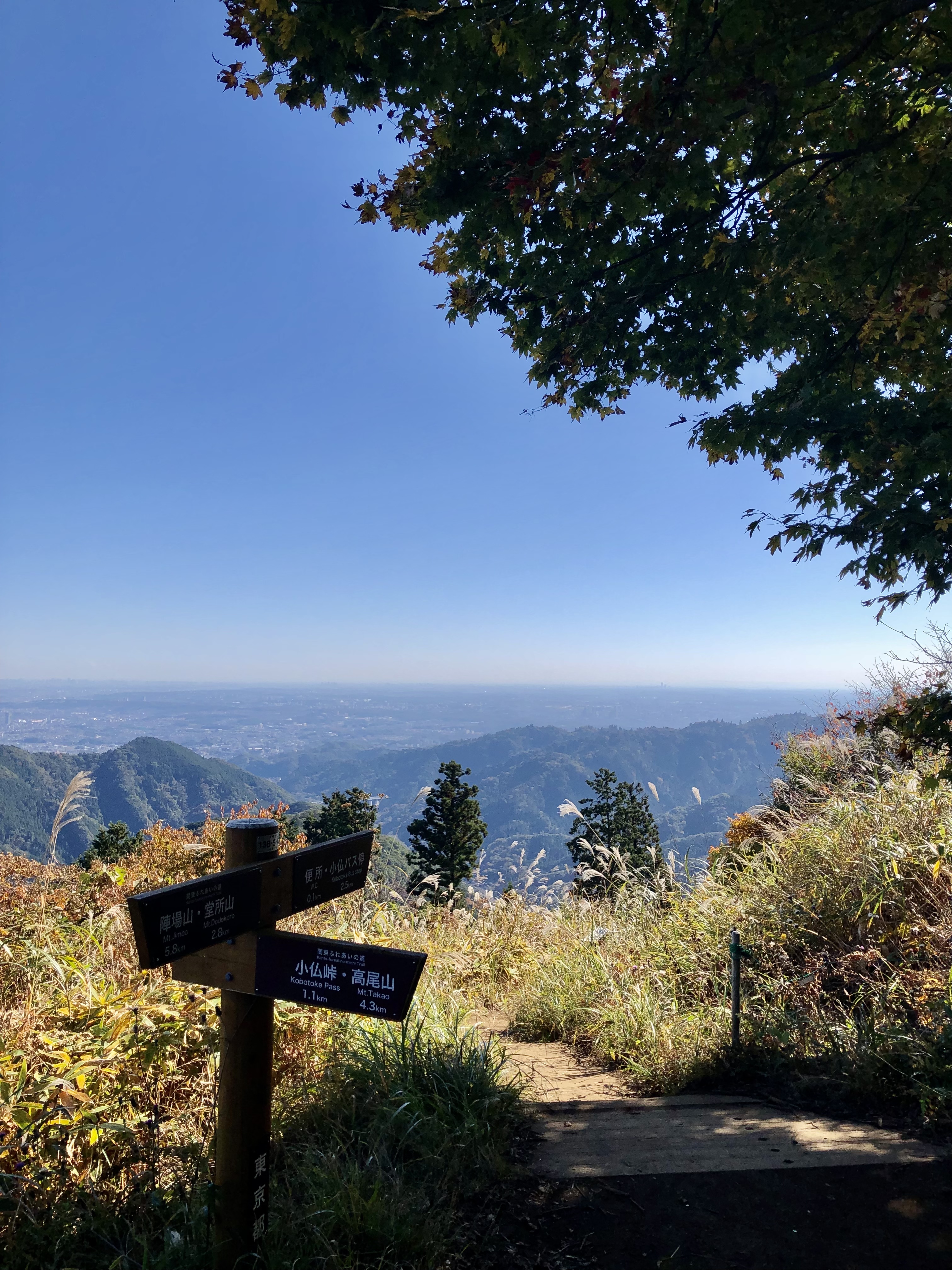 高尾山　景信山　山頂　景色　絶景