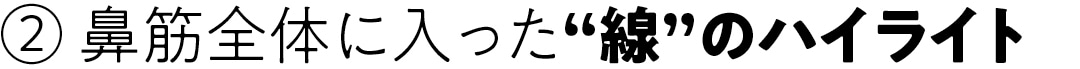 鼻筋全体に入った“線”のハイライト