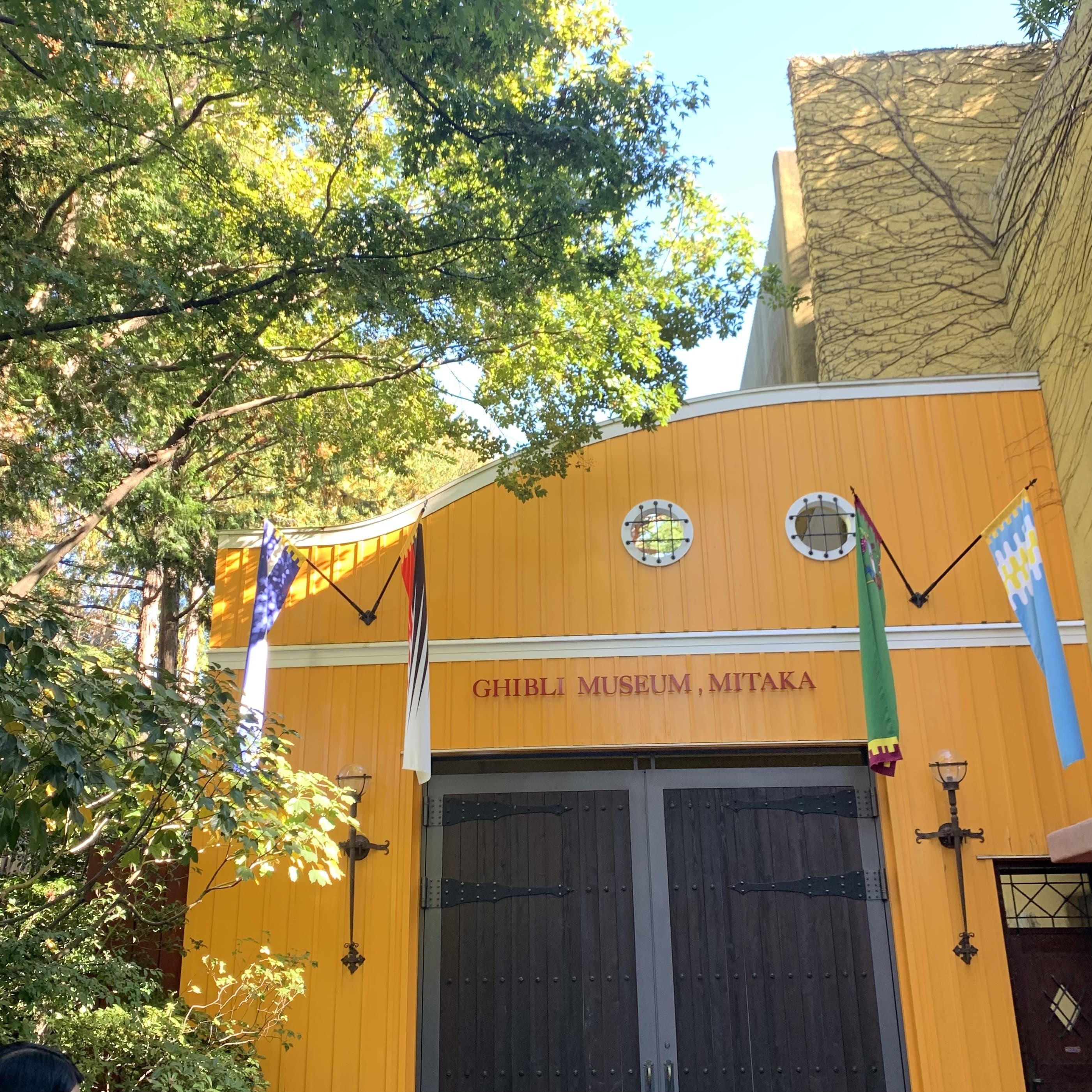 自然いっぱい🌱