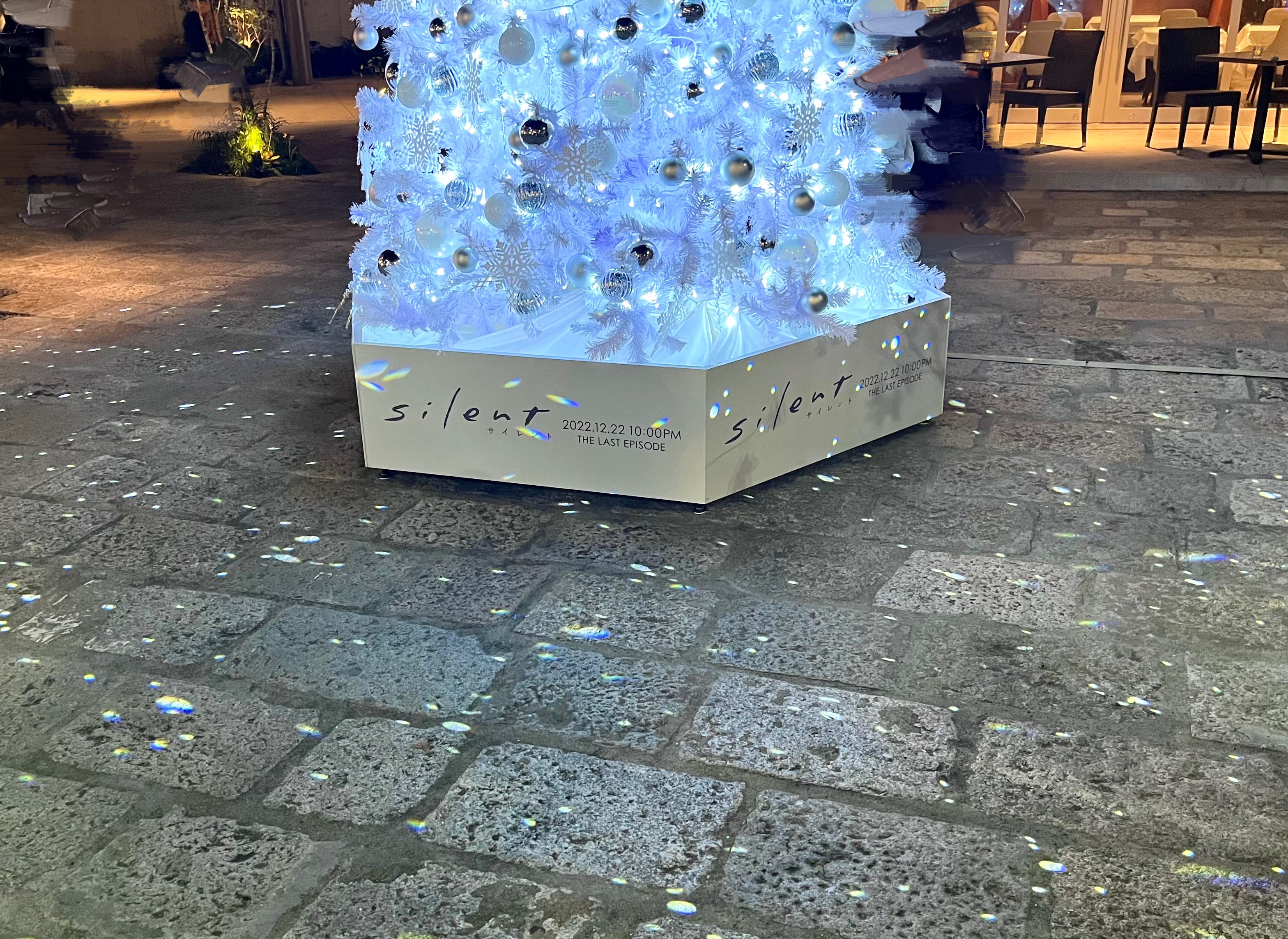 サイレント　クリスマスツリー　下北沢