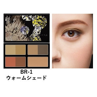 デザイニングシェードパレット３D BR -１