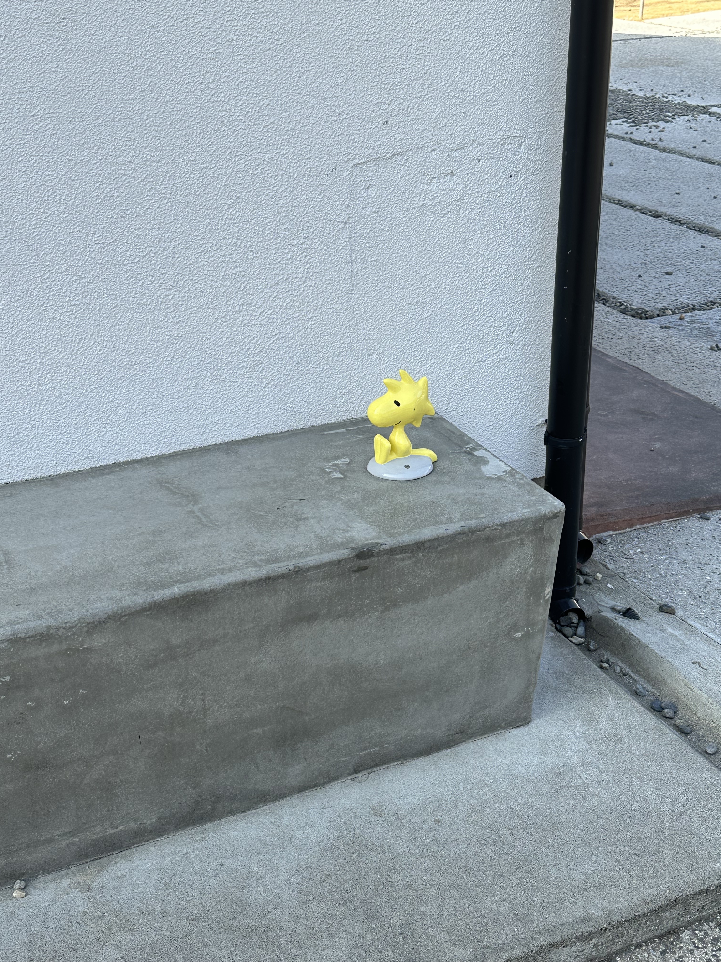 SNOOPY Chocolat外観３