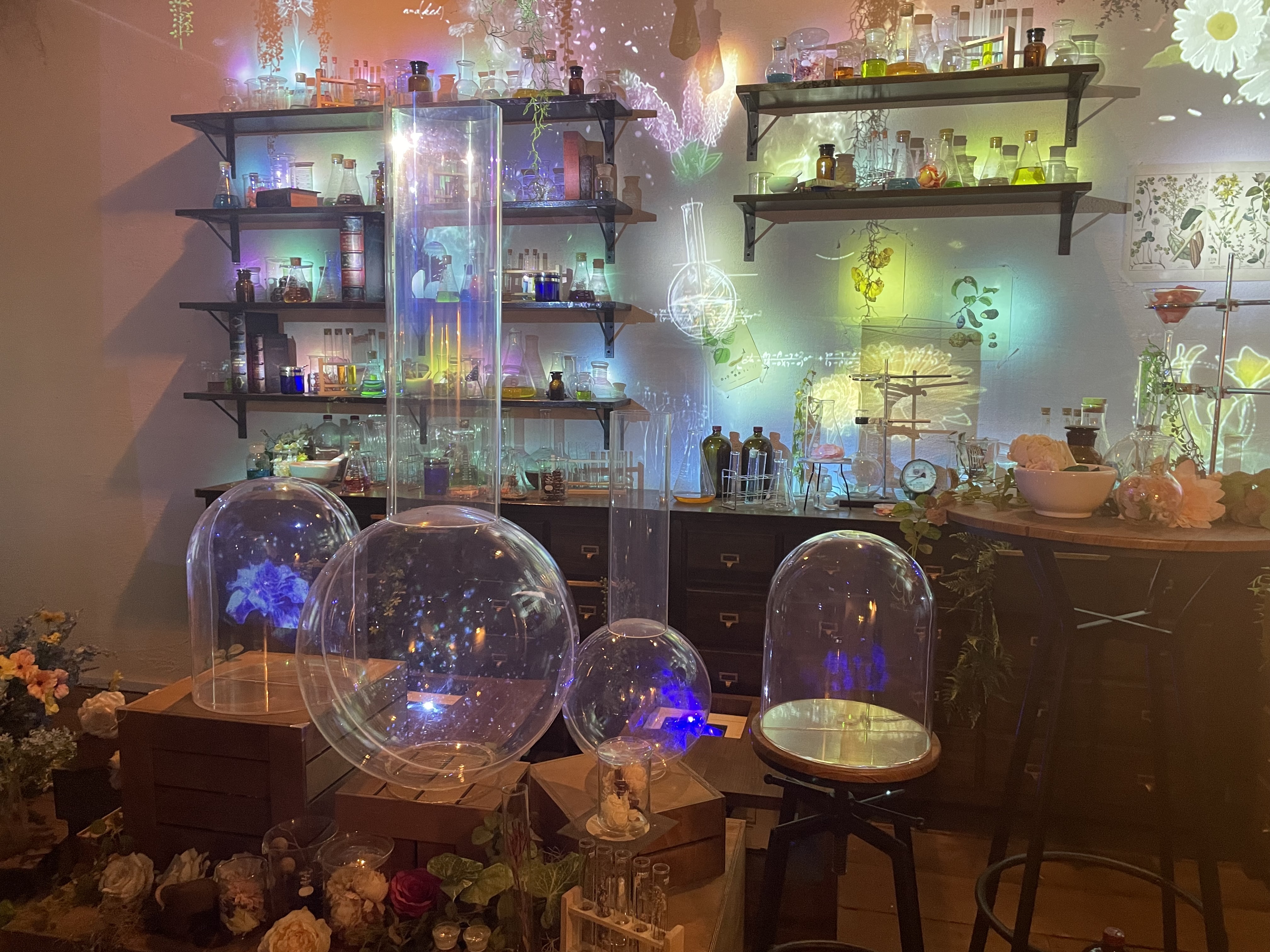 ハウステンボス 光のファンタジアシティ フラワーファンタジア 内観 フラスコが並んでいる様子