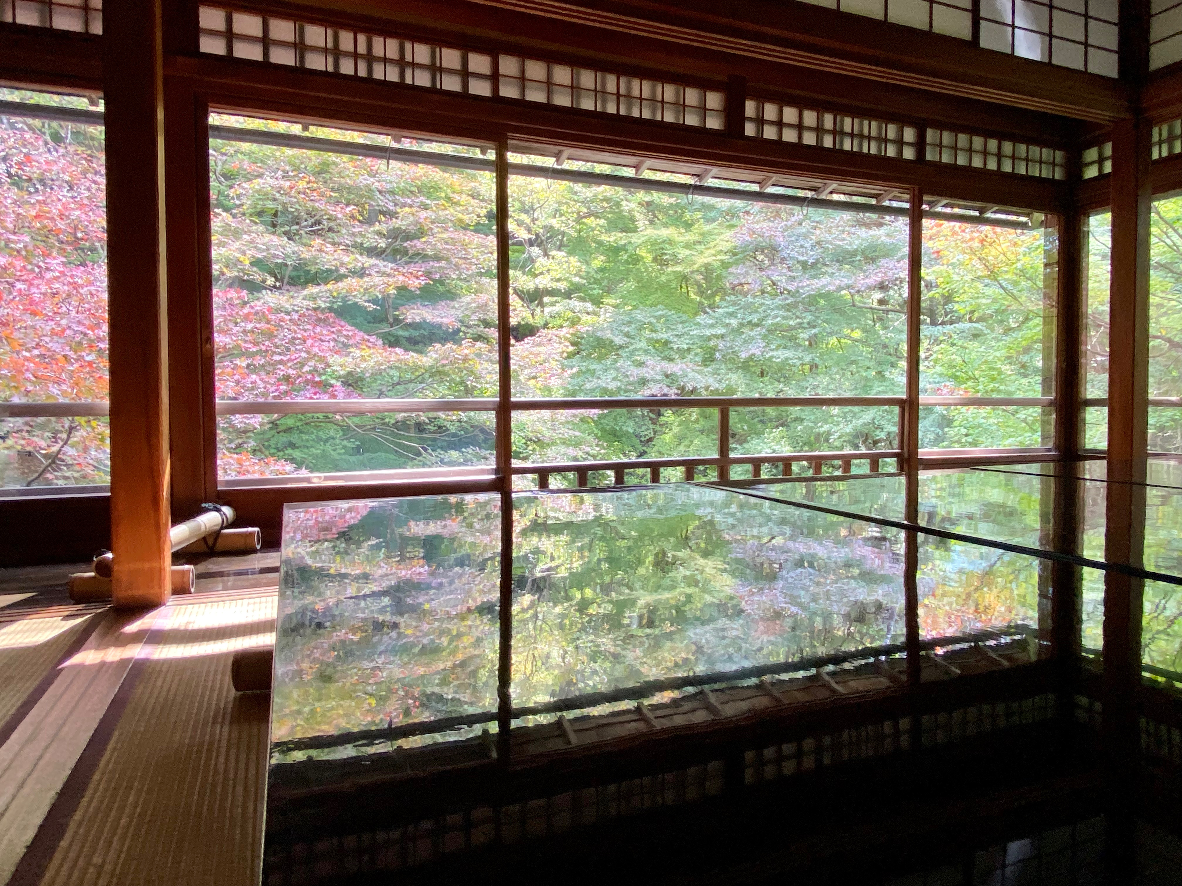 無量寿山光明寺 京都本院 瑠璃光院　紅葉　書院2階　書経机