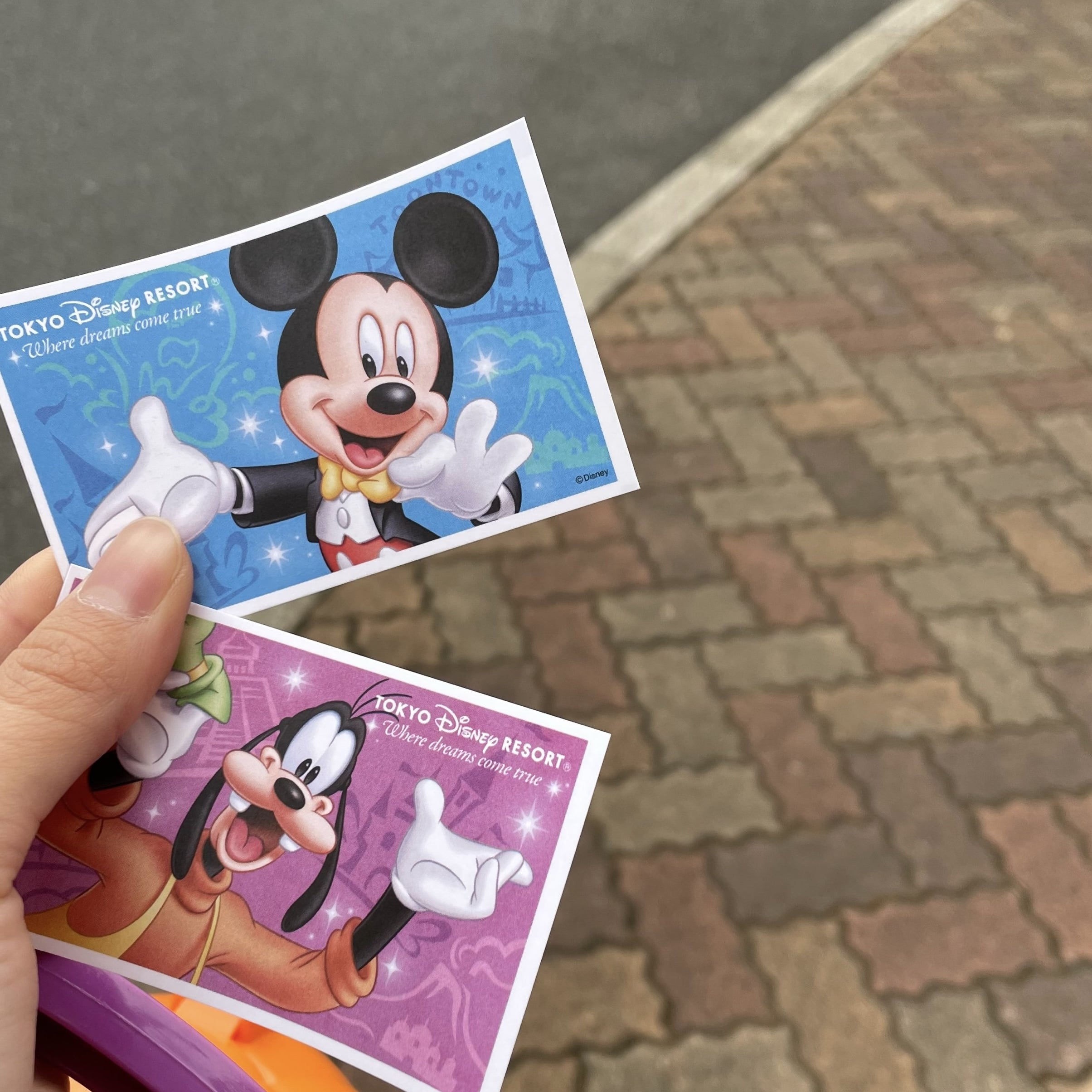 ディズニーランド チケット ディズニー