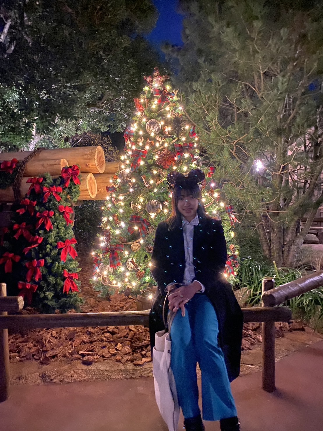 ウエスタンランド クリスマスディズニー ミニツリー