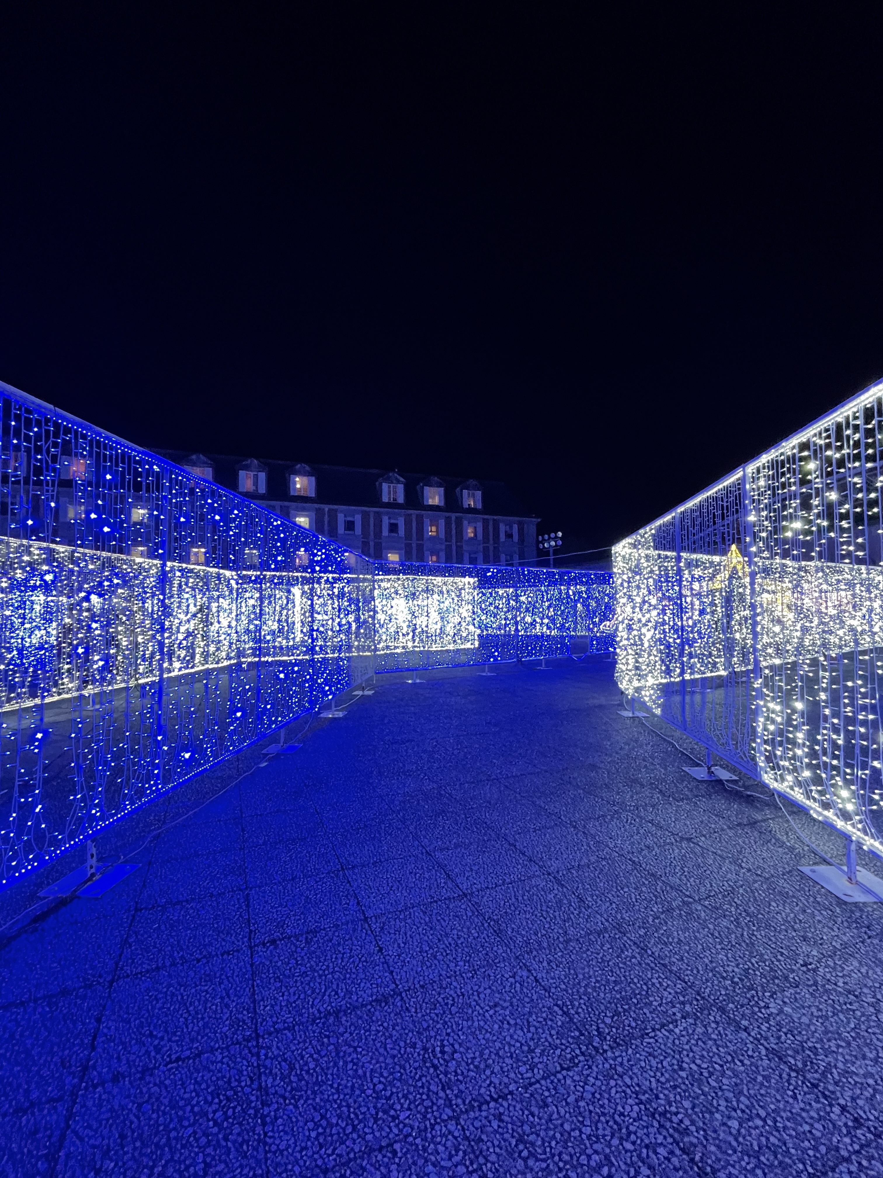 2022 神戸イルミナージュ　イルミスター迷路