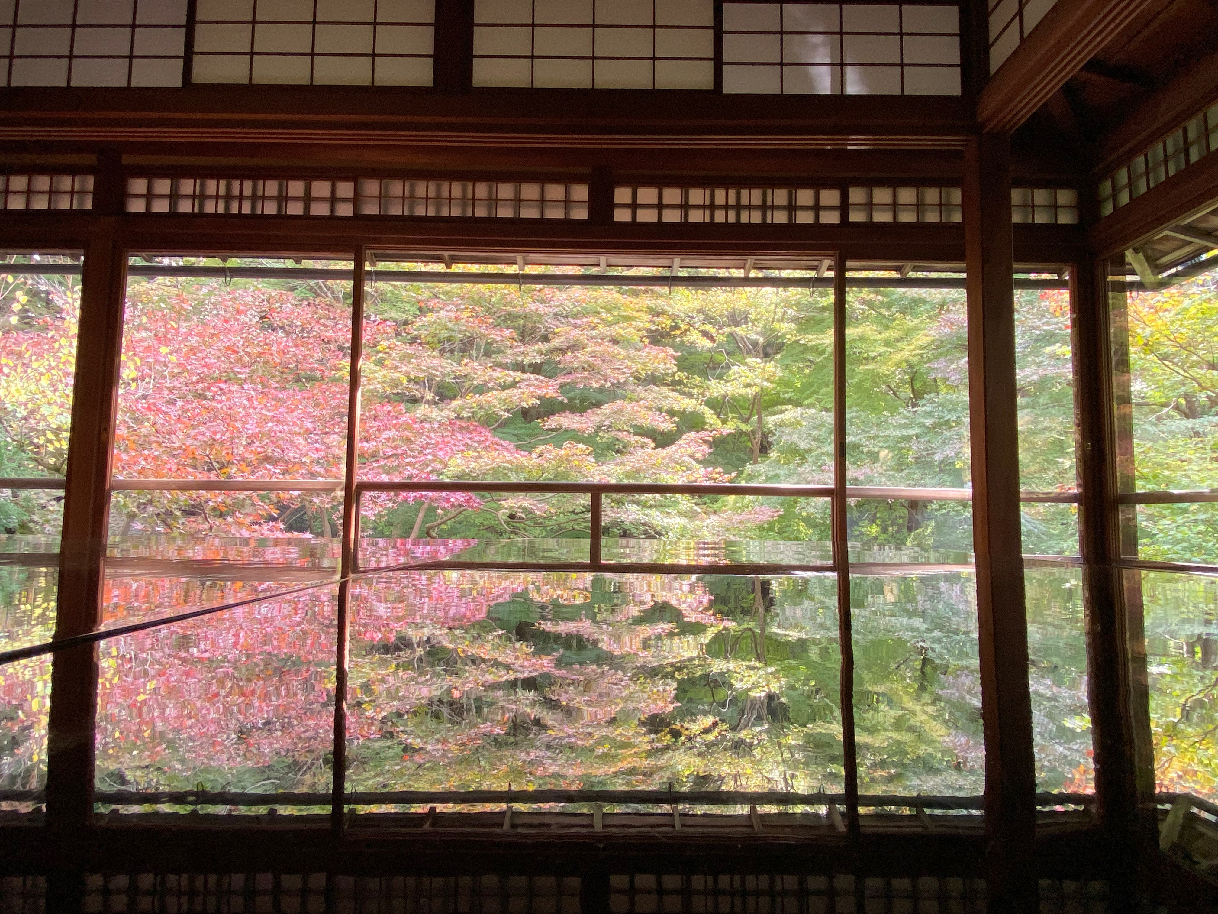 無量寿山光明寺 京都本院 瑠璃光院　逆さ紅葉