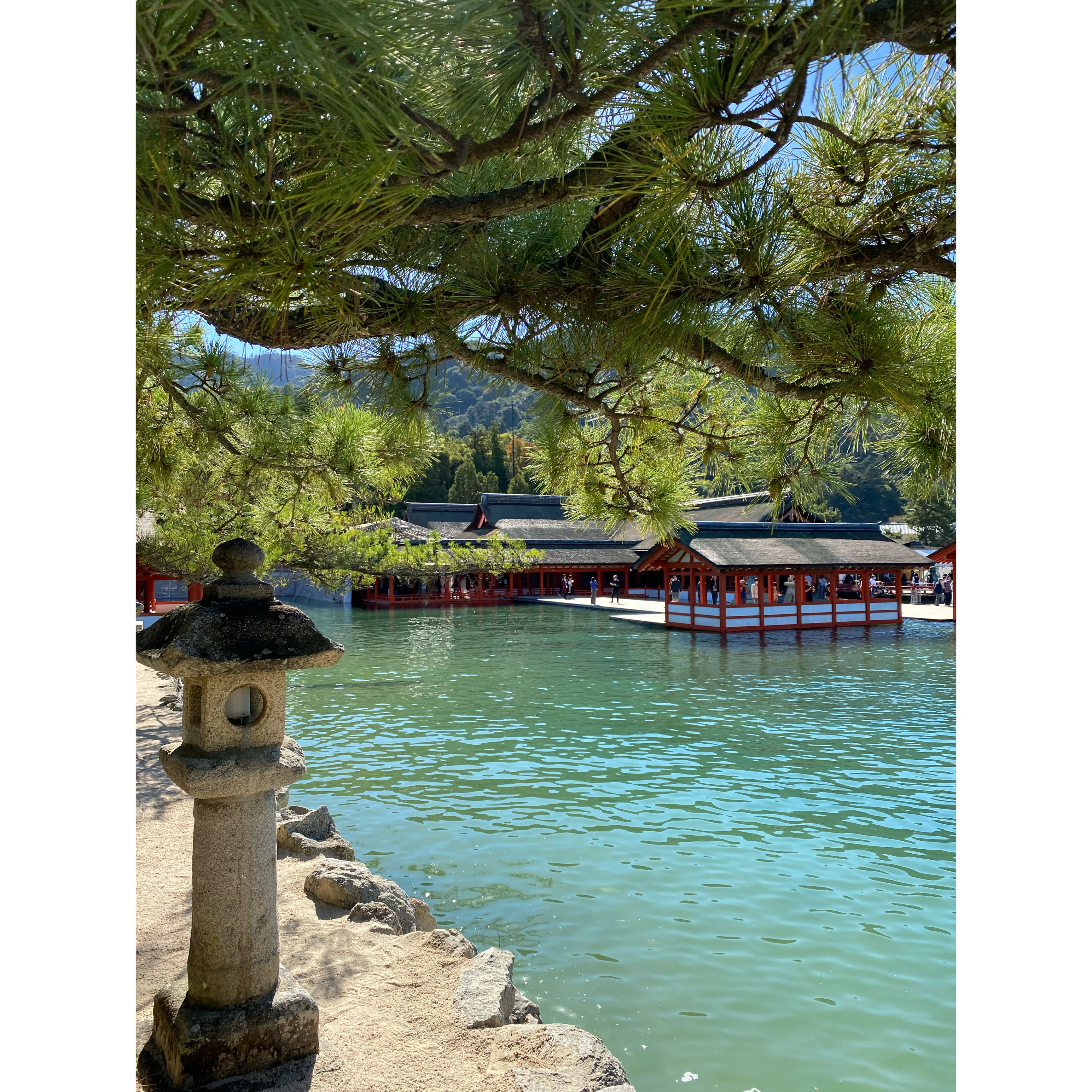 宮島　宮殿　厳島神社