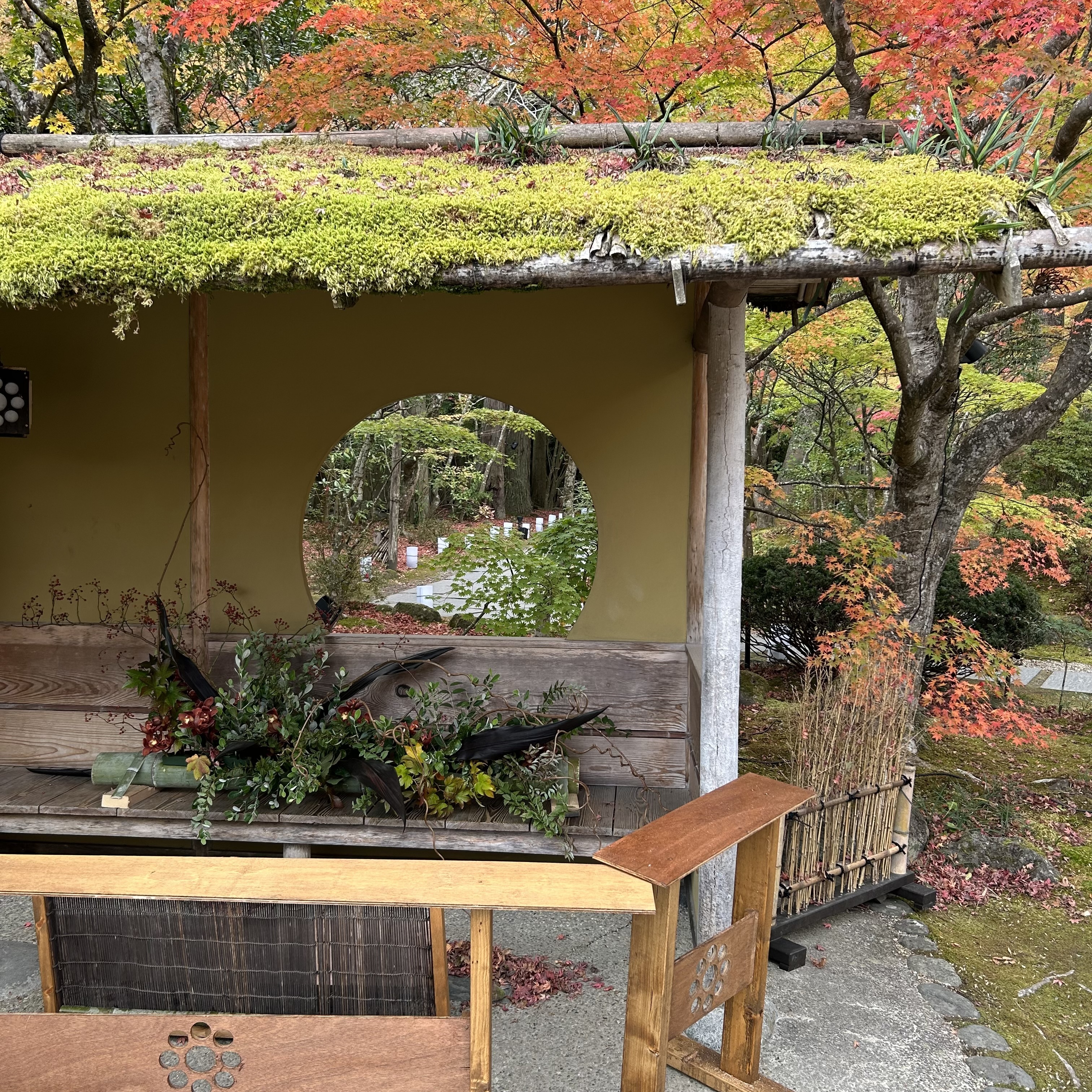 円通院、松島観光、紅葉