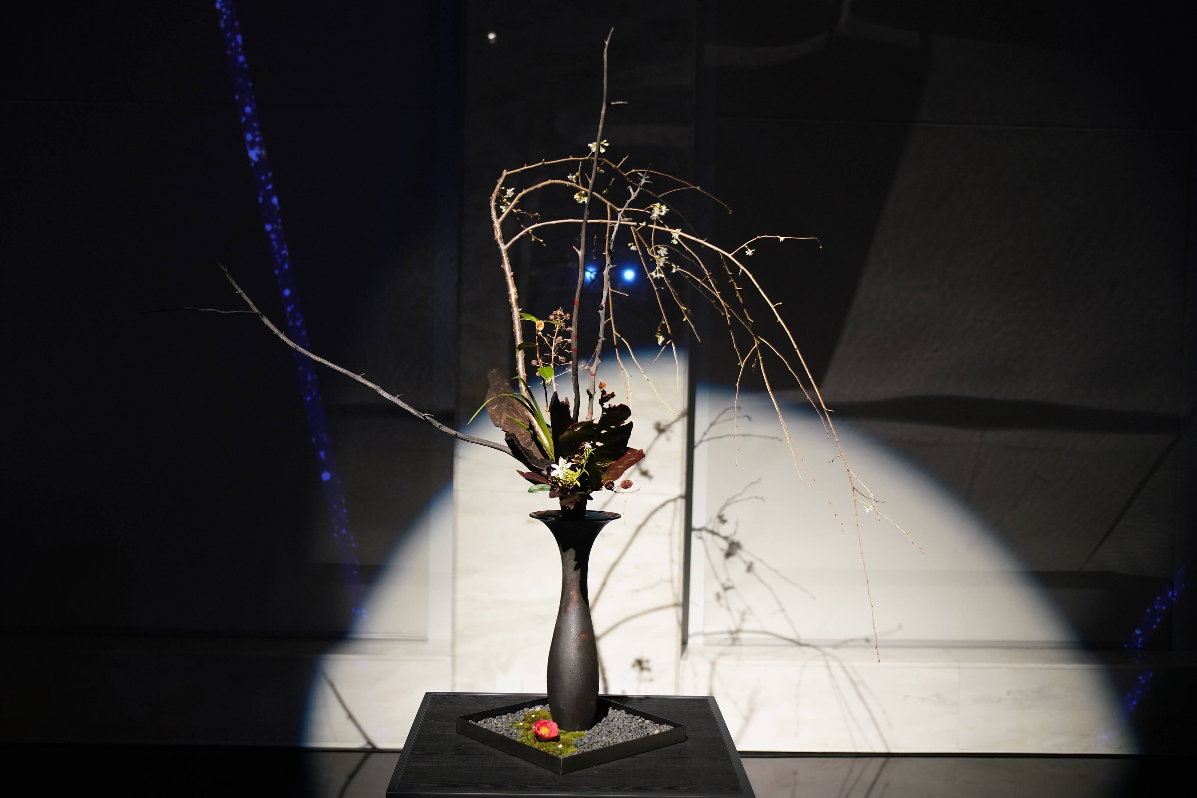 『The Little Star』をモチーフに制作された「noir」