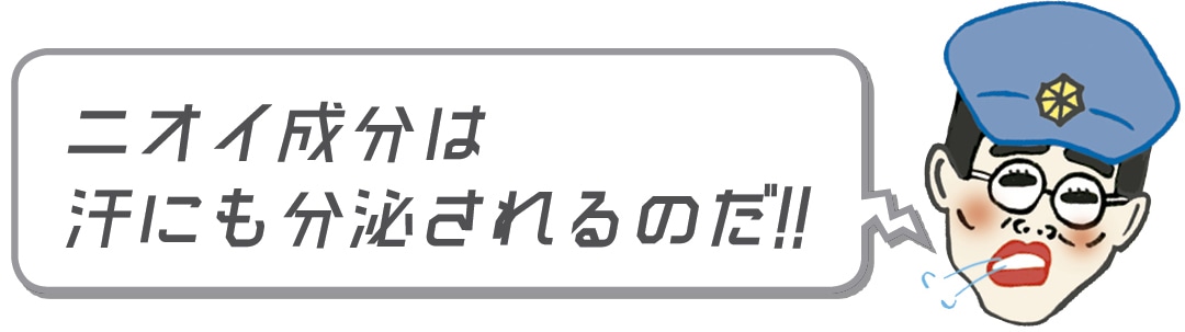 ニオイ成分は汗にも分泌されるのだ!!