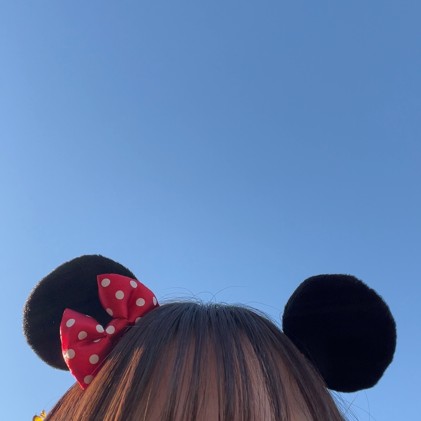 ディズニー　ミニー　ピン