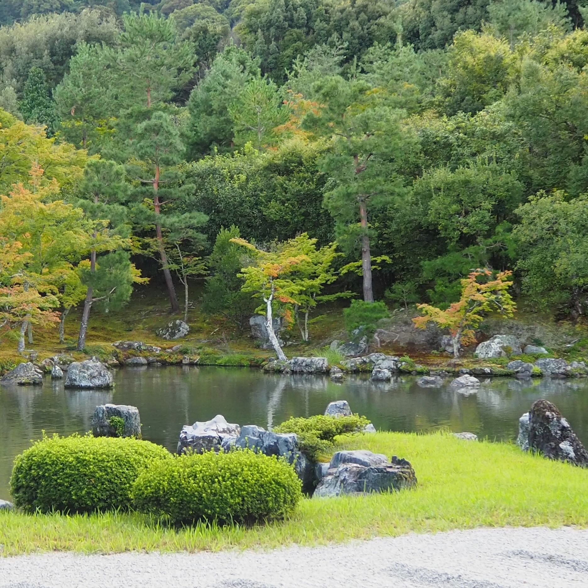 天龍寺庭園の画像