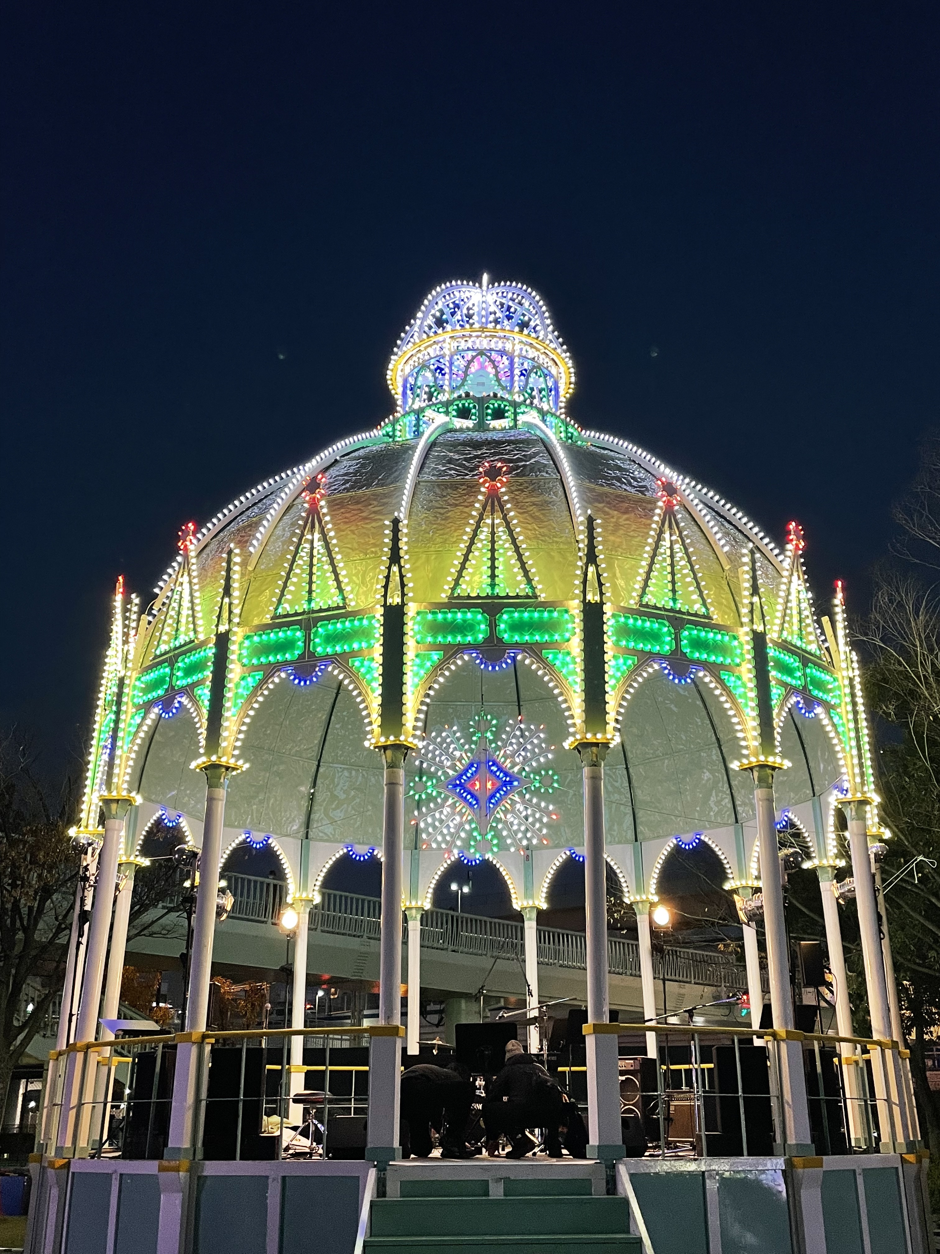 カッサアルモニカ