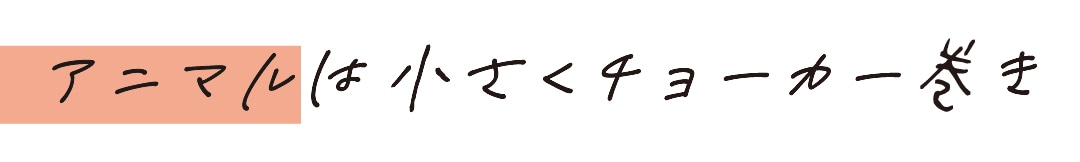 アニマルは小さくチョーカー巻き