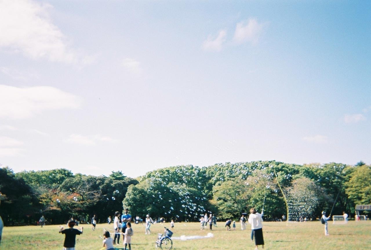 「写ルンです」で撮った代々木公園の写真。