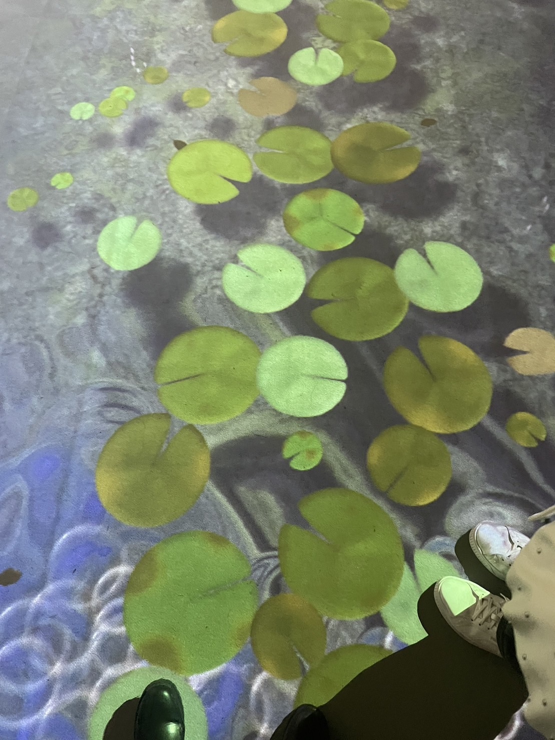 蓮の池