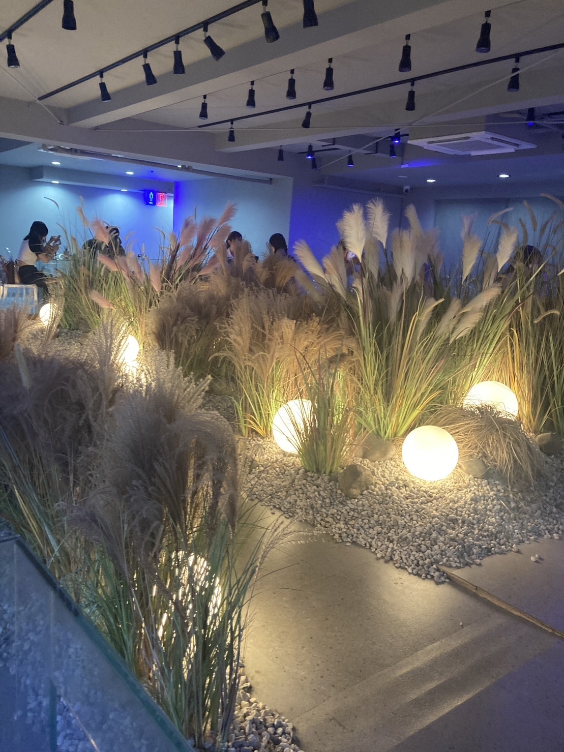 店内を写した写真。
ススキが広がっている。