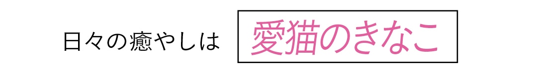 日々の癒やしは愛猫のきなこ