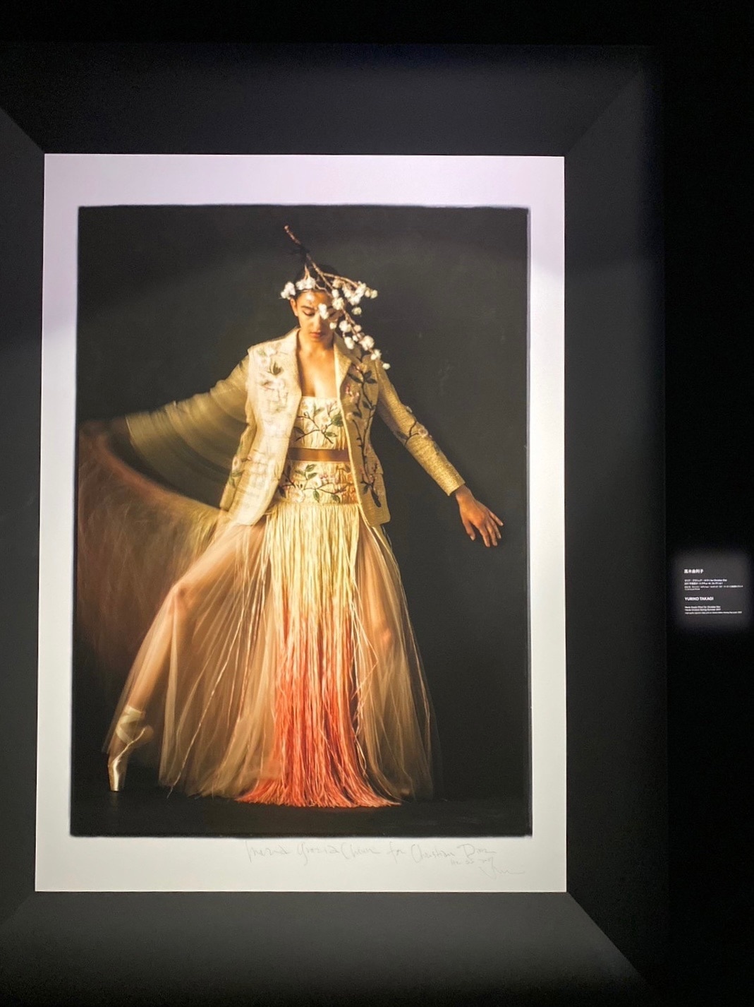 写真家・高木由利子氏の作品