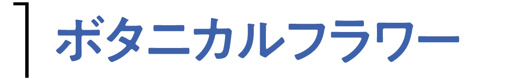 ボタニカルフラワー