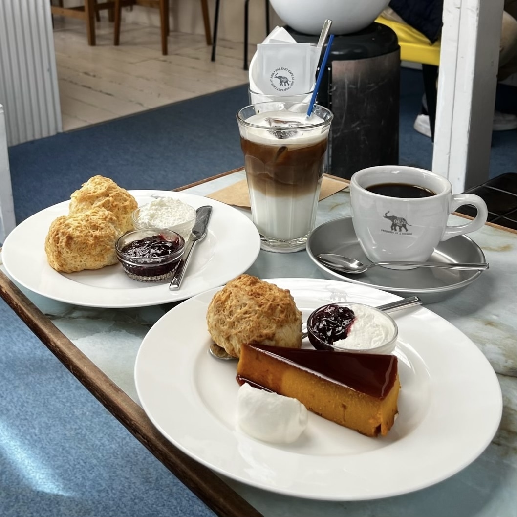 ショウゾウカフェ　スコーンとカボチャプリン