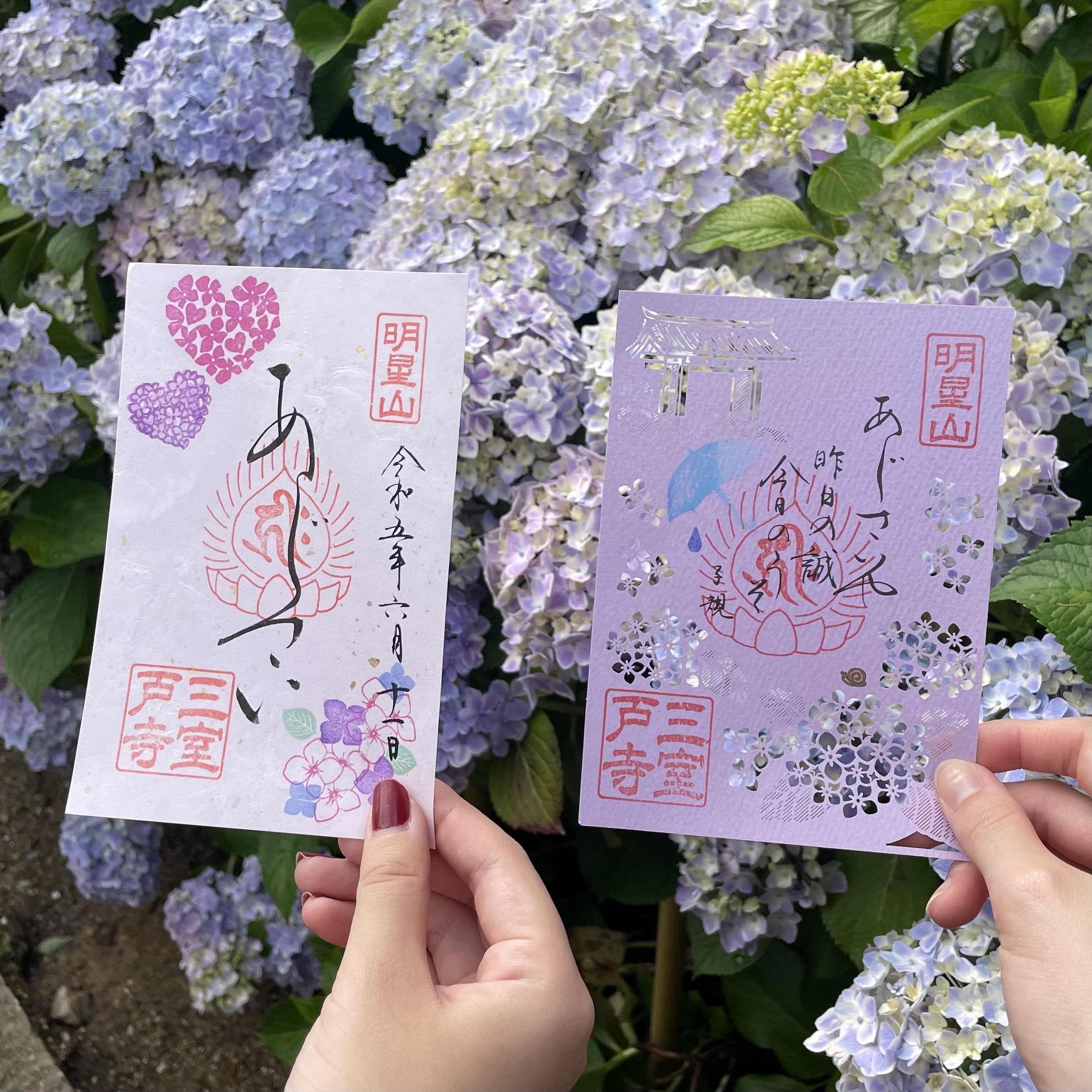 紫陽花　御朱印　三室戸寺