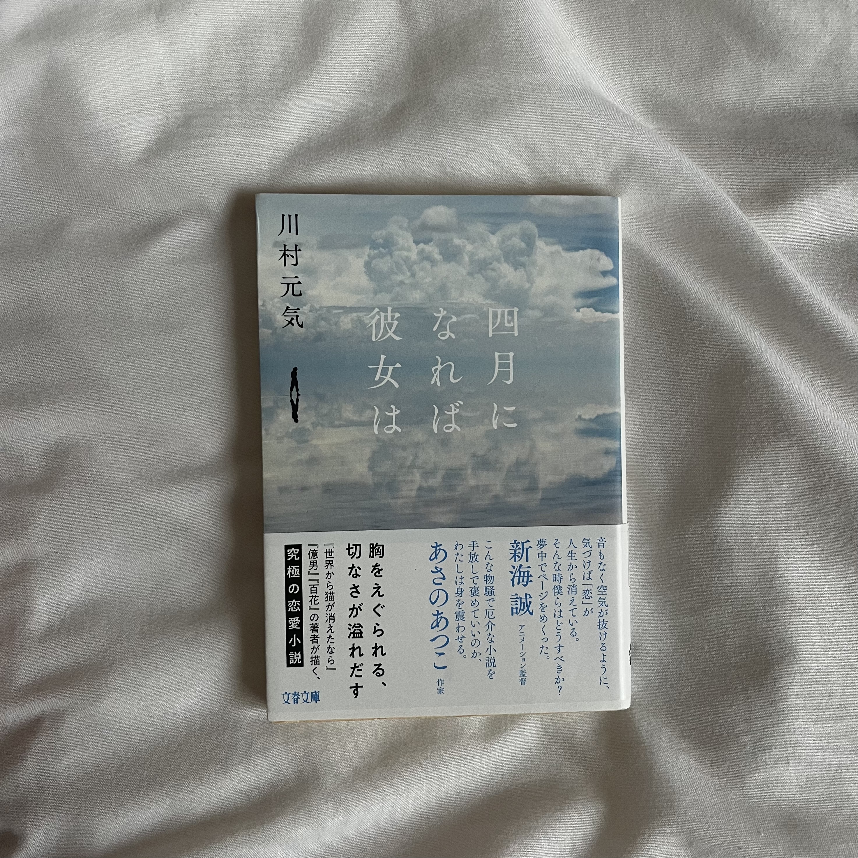 小説　四月になれば彼女は