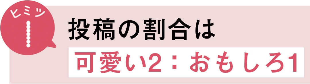 ヒミツ1　投稿の割合は可愛い2：おもしろ１