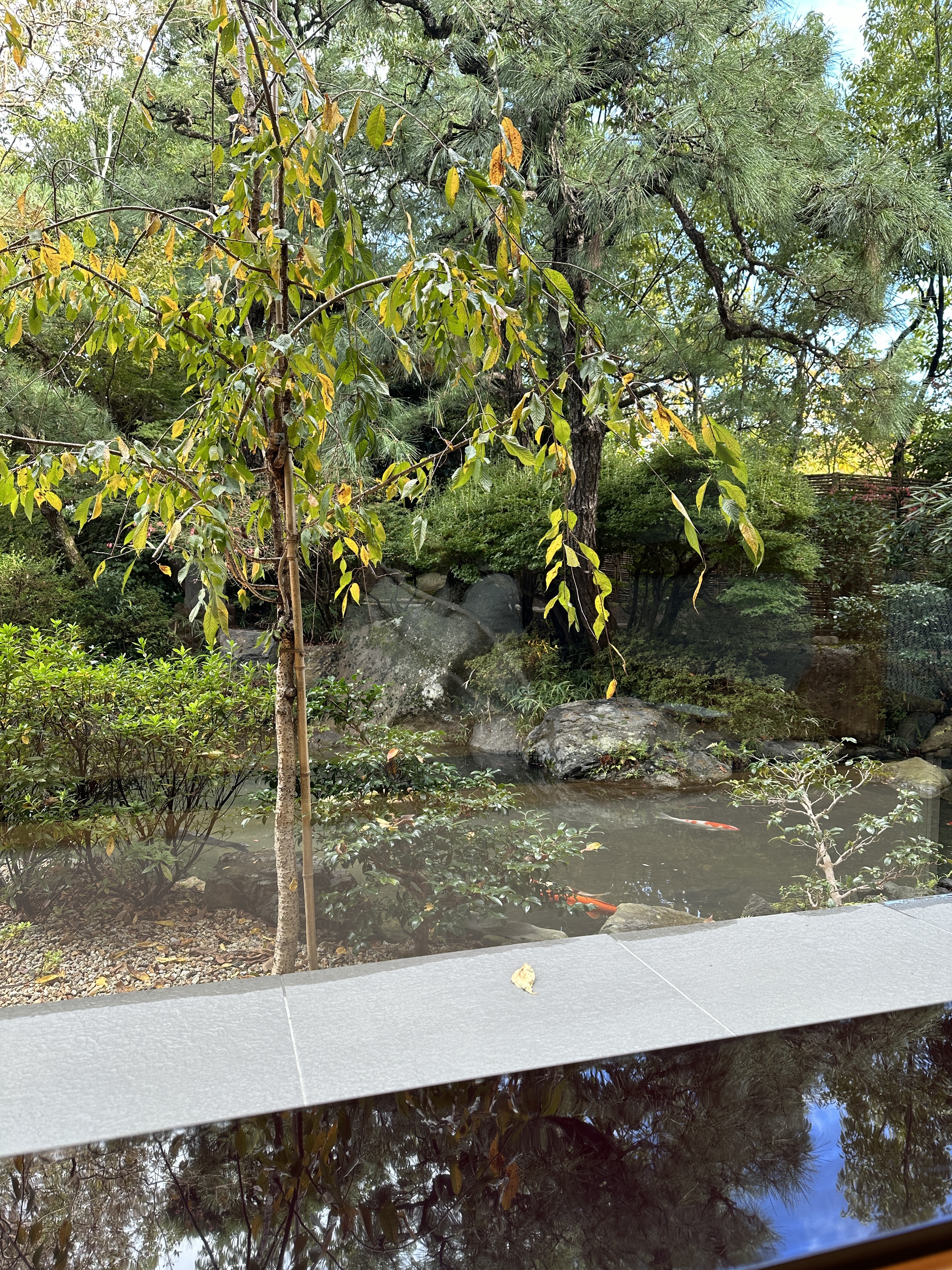 ふふ京都