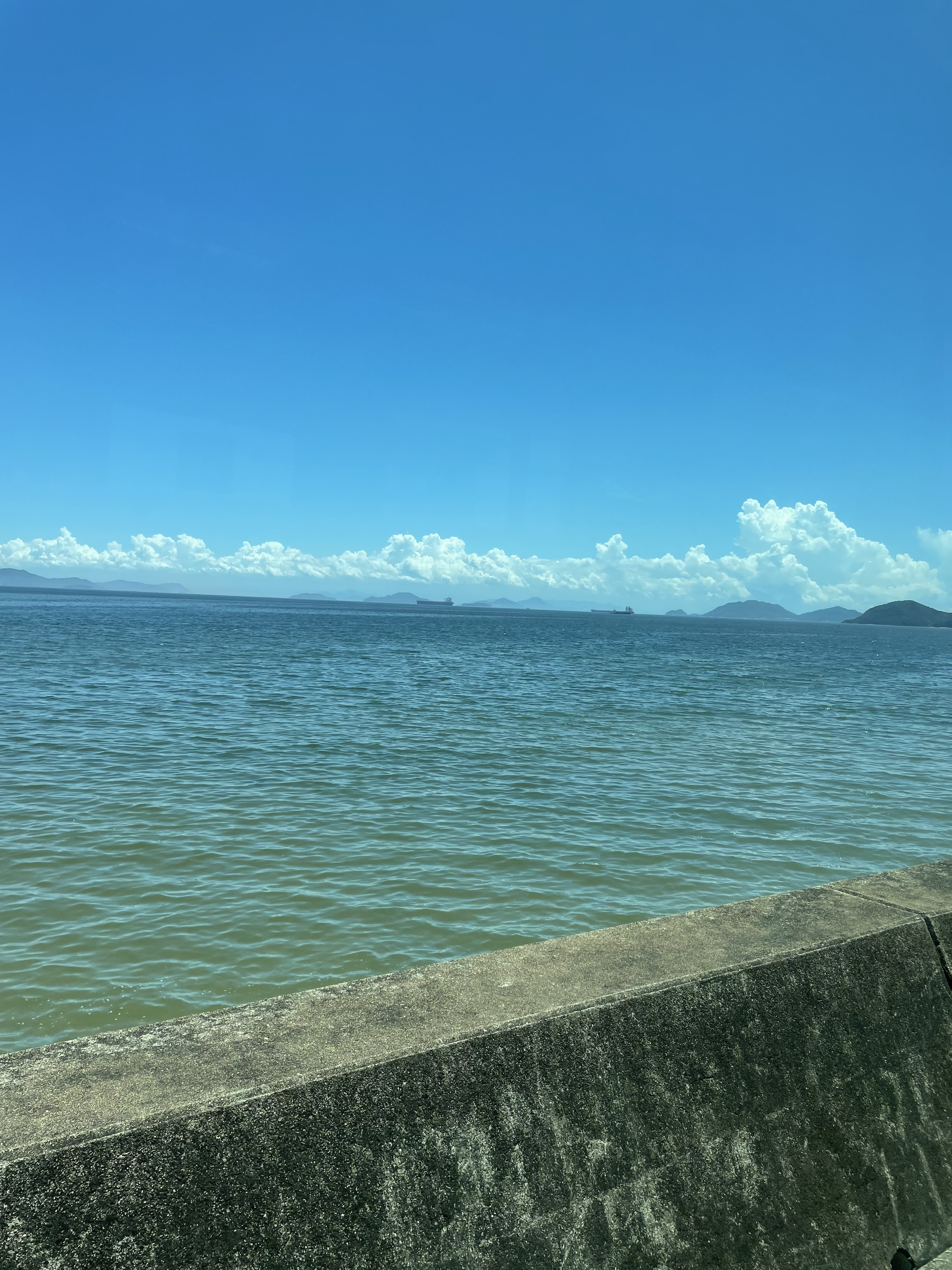 海