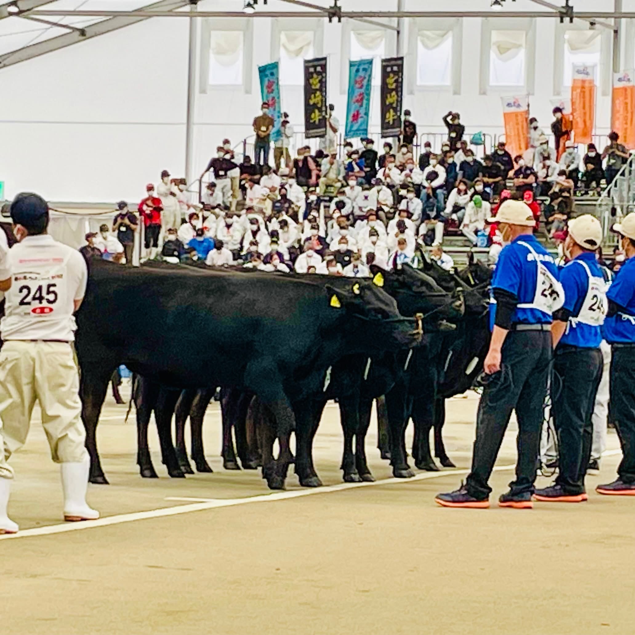 和牛フェス　鹿児島　鹿児島黒牛