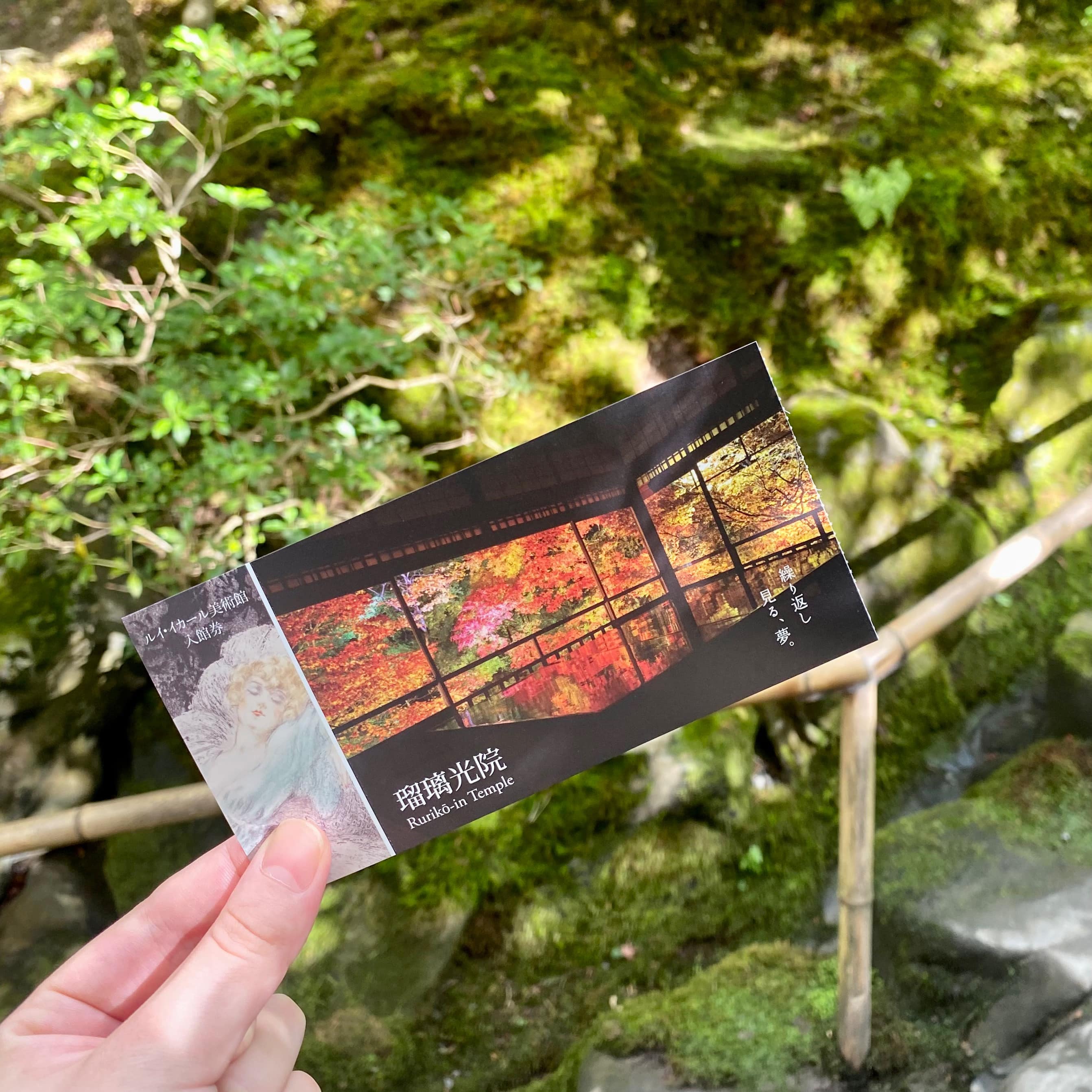 無量寿山光明寺 京都本院 瑠璃光院　紅葉名所　京都